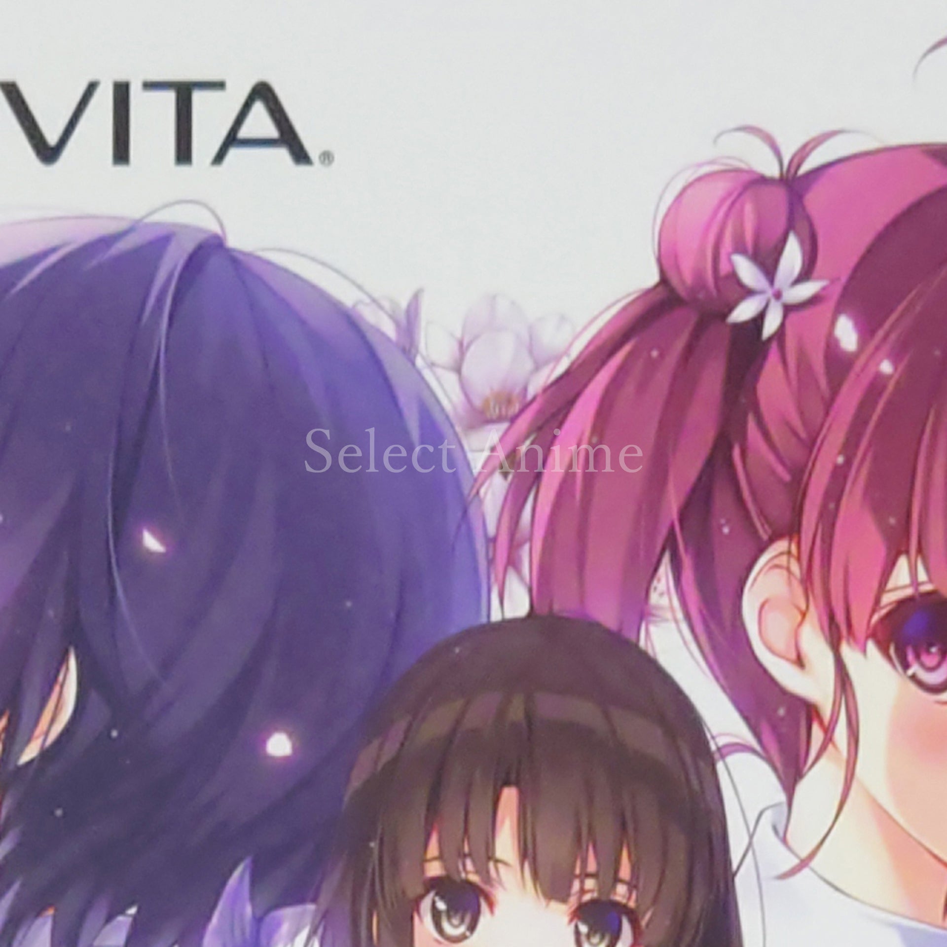 Saenai Heroine no Sodatekata: Blessing Flowers First Limited Edition PlayStation Vita [USED]