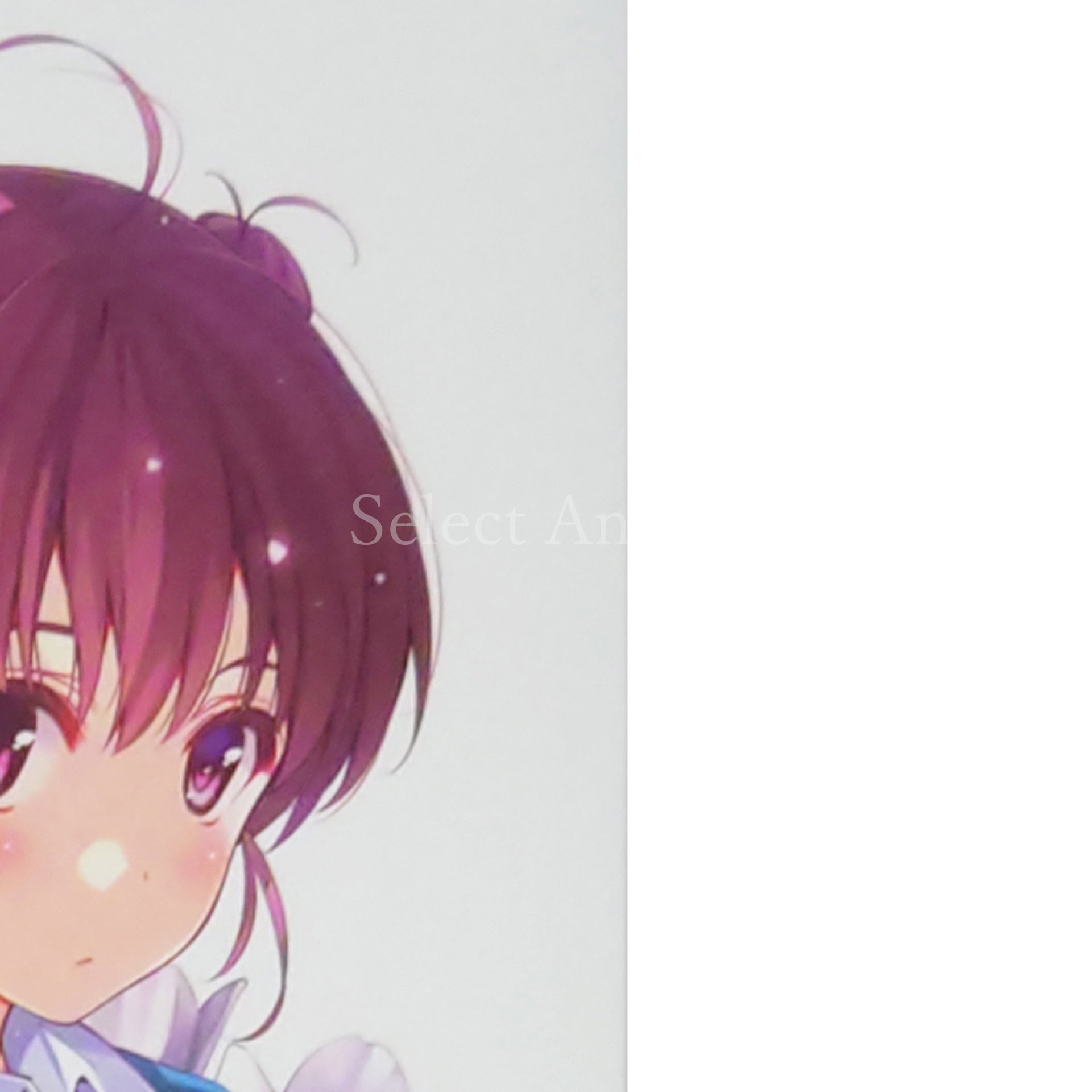 Saenai Heroine no Sodatekata: Blessing Flowers First Limited Edition PlayStation Vita [USED]