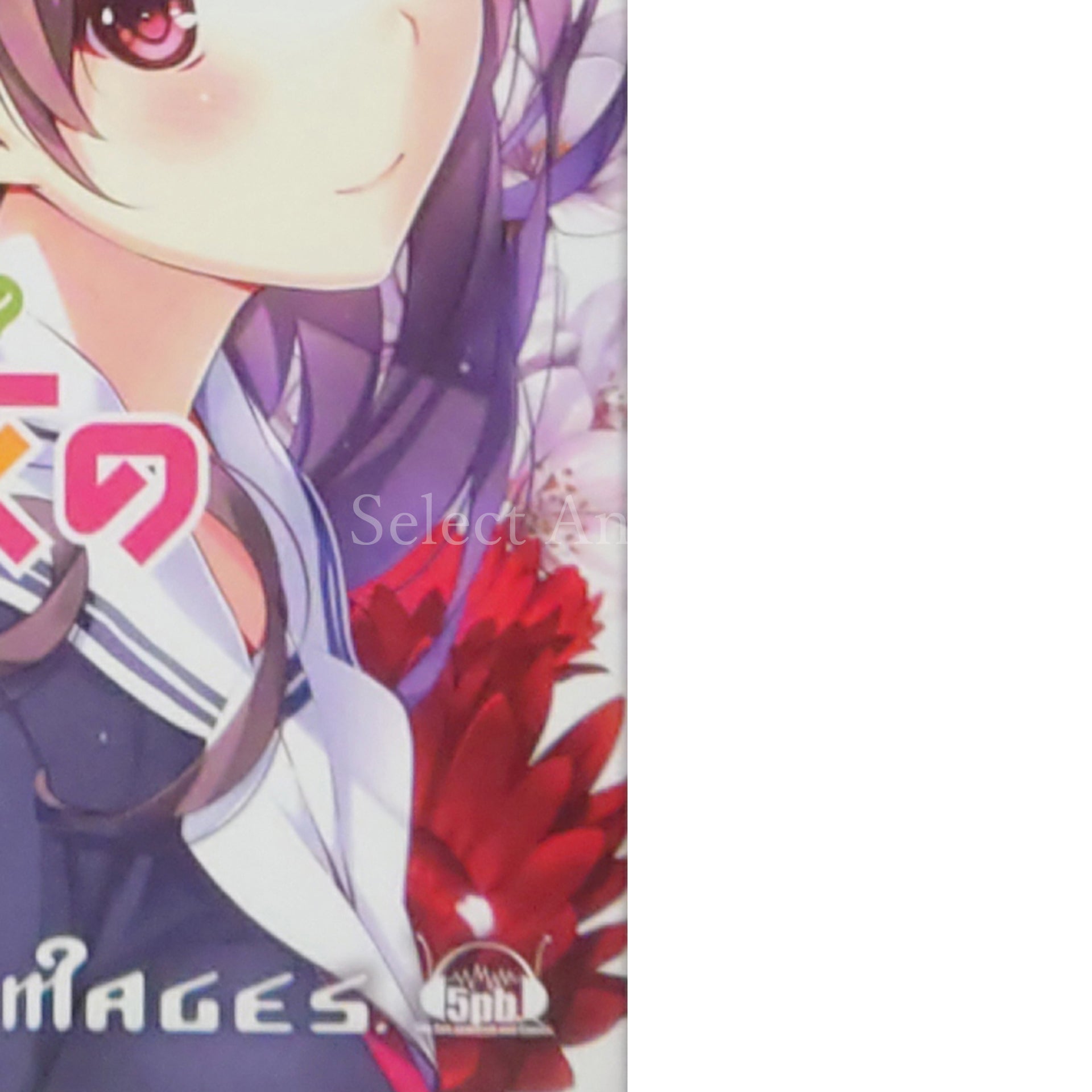 Saenai Heroine no Sodatekata: Blessing Flowers First Limited Edition PlayStation Vita [USED]