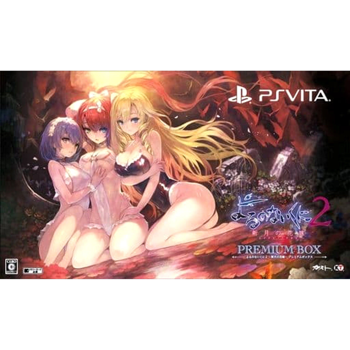 Nights of Azure 2: Bride of the New Moon Premium Box Sony PlayStation Vita [USED]