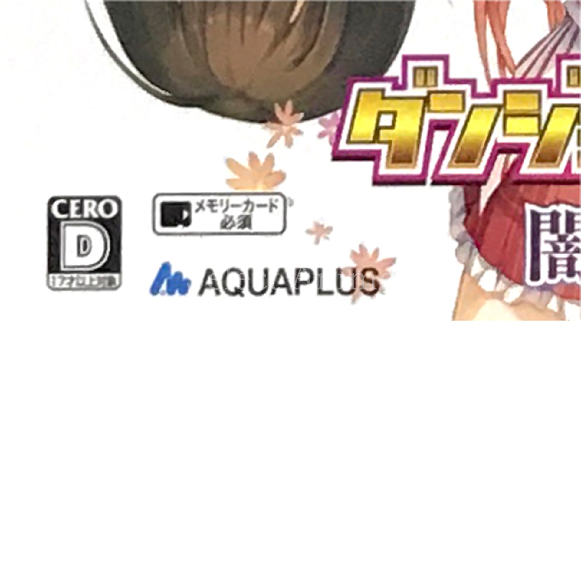 Dungeon Travelers 2-2: Yamiochi no Otome to Hajimari no Sho Premium Edition PlayStation Vita [USED]