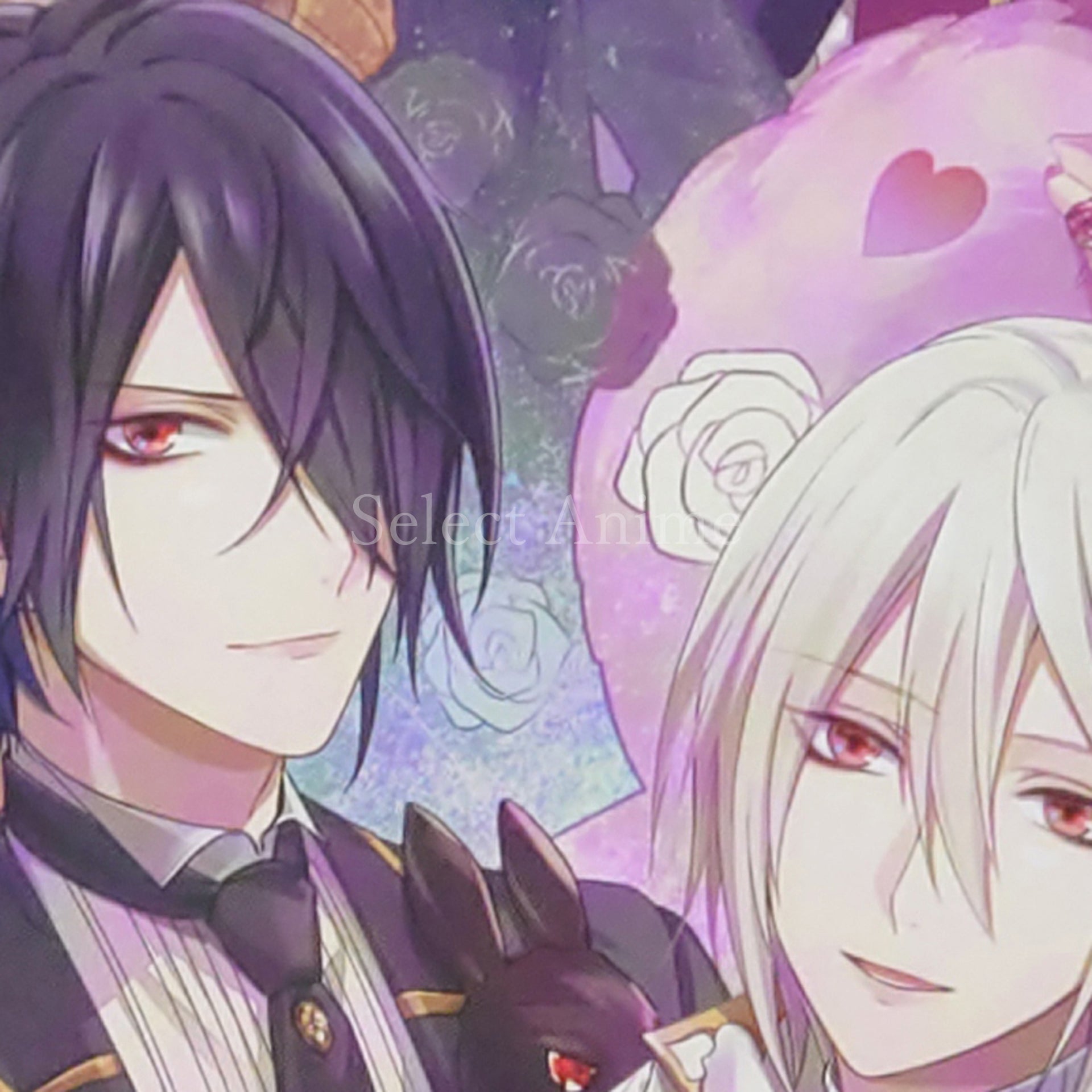 Shiro to Kuro no Alice Limited Edition PlayStation Vita [USED]