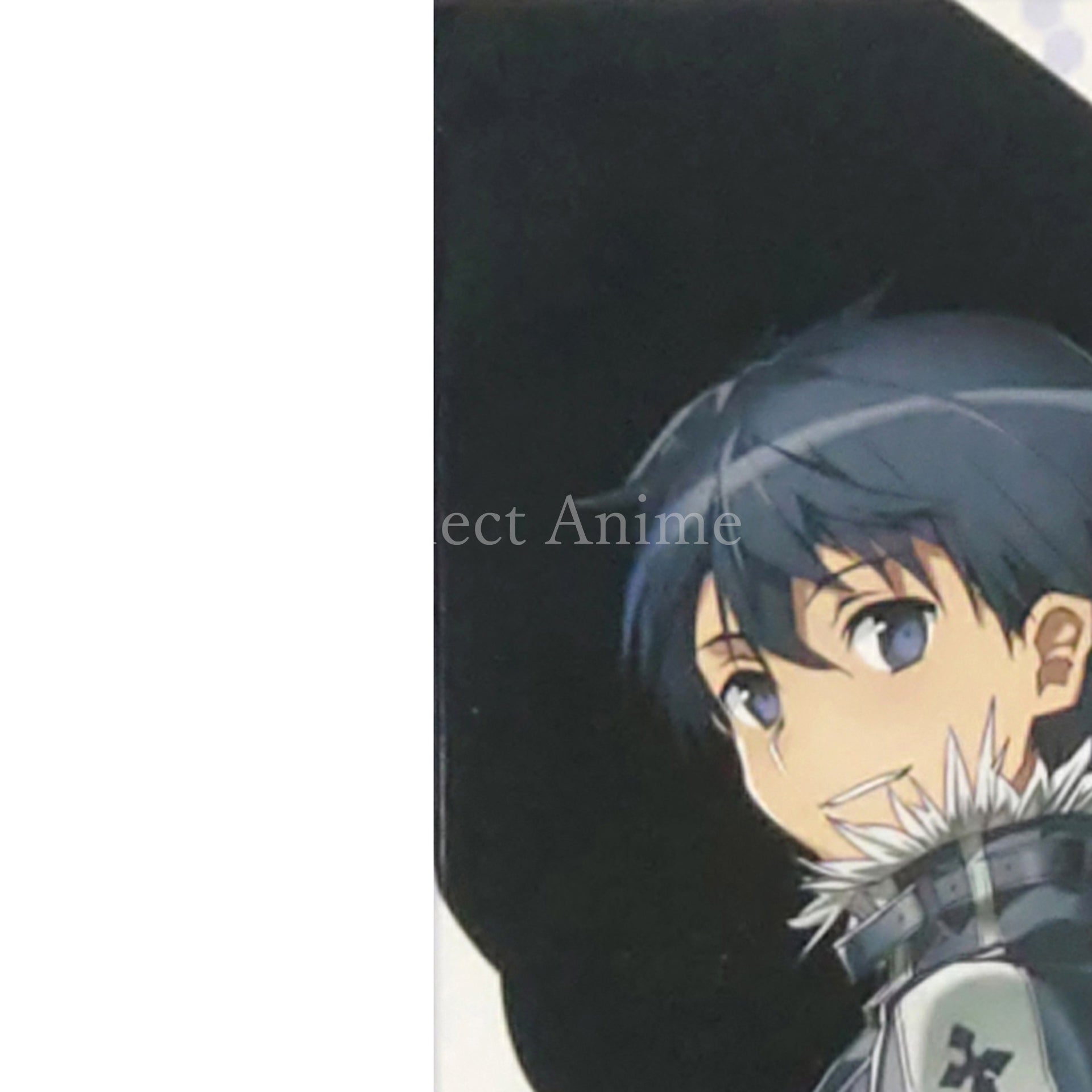 Accel World vs. Sword Art Online: Millennium Twilight Dengeki Limited PlayStation Vita [USED]