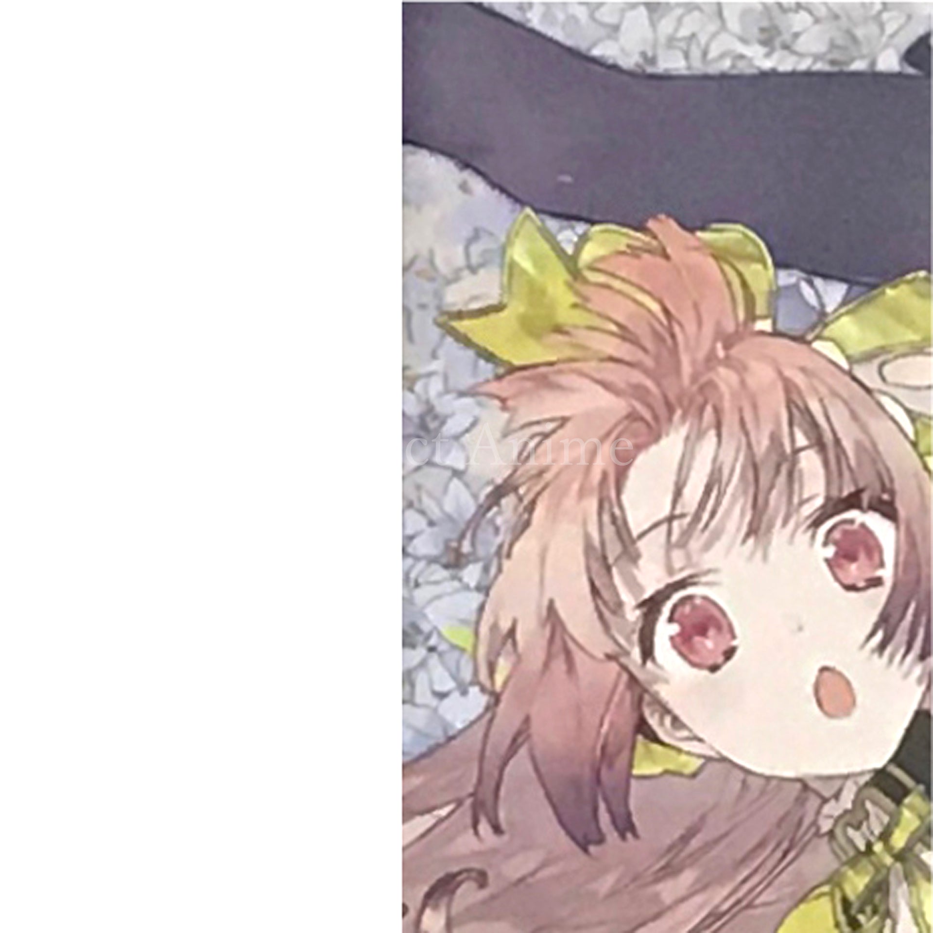 Atelier Lydie & Suelle: The Alchemists and the Mysterious Paintings Premium Box PlayStation Vita [USED]