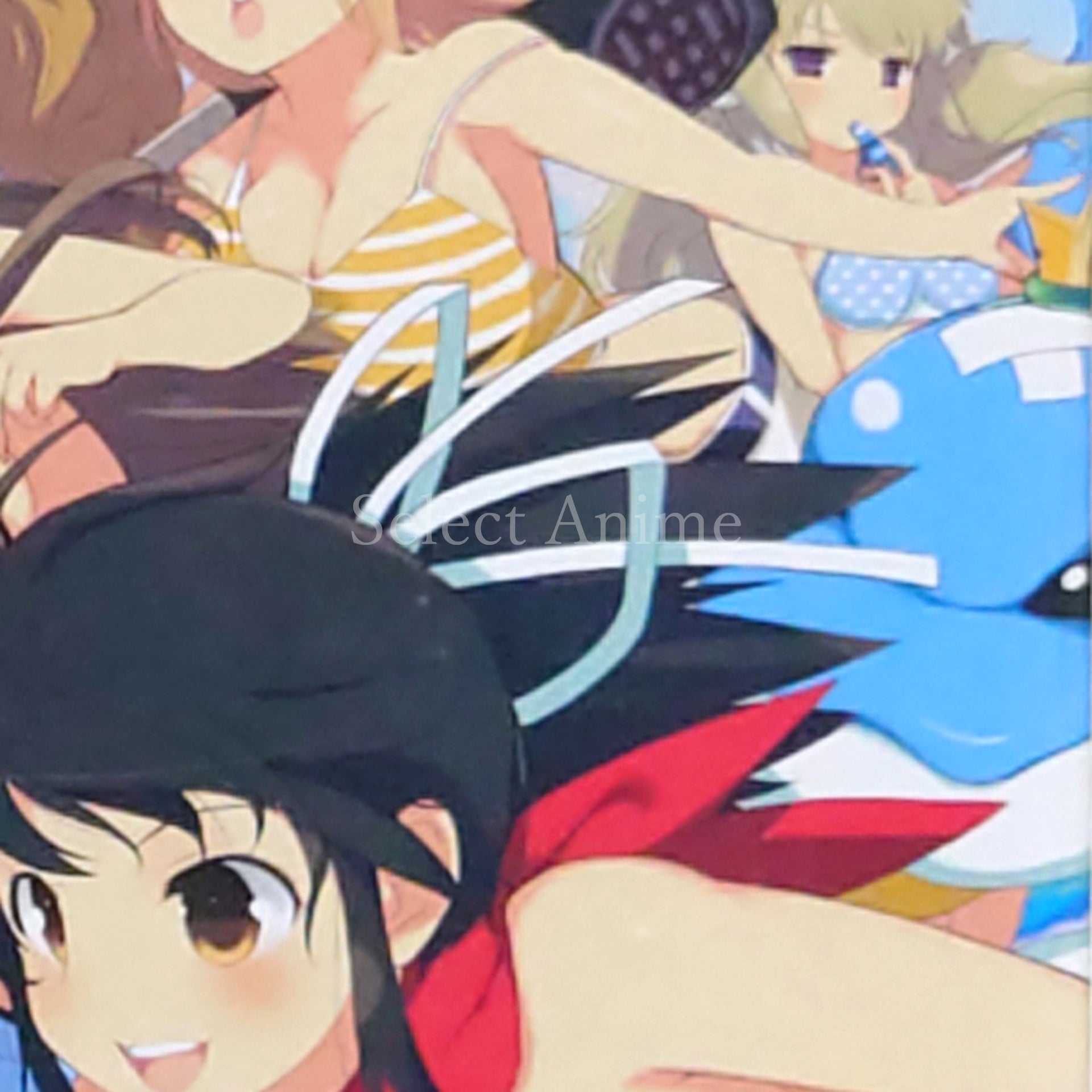 Senran Kagura: Estival Versus Nyunyu DX Pack Premium PlayStation 4 [USED]