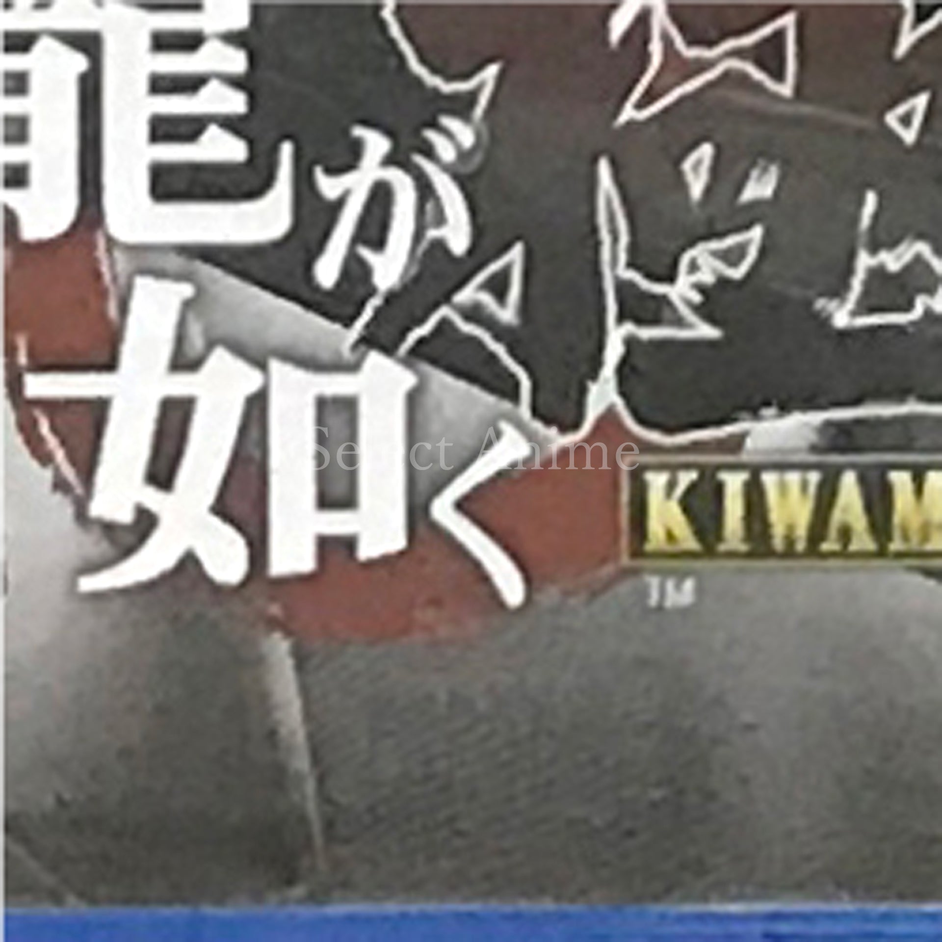 Yakuza Kiwami PlayStation 4 [USED]