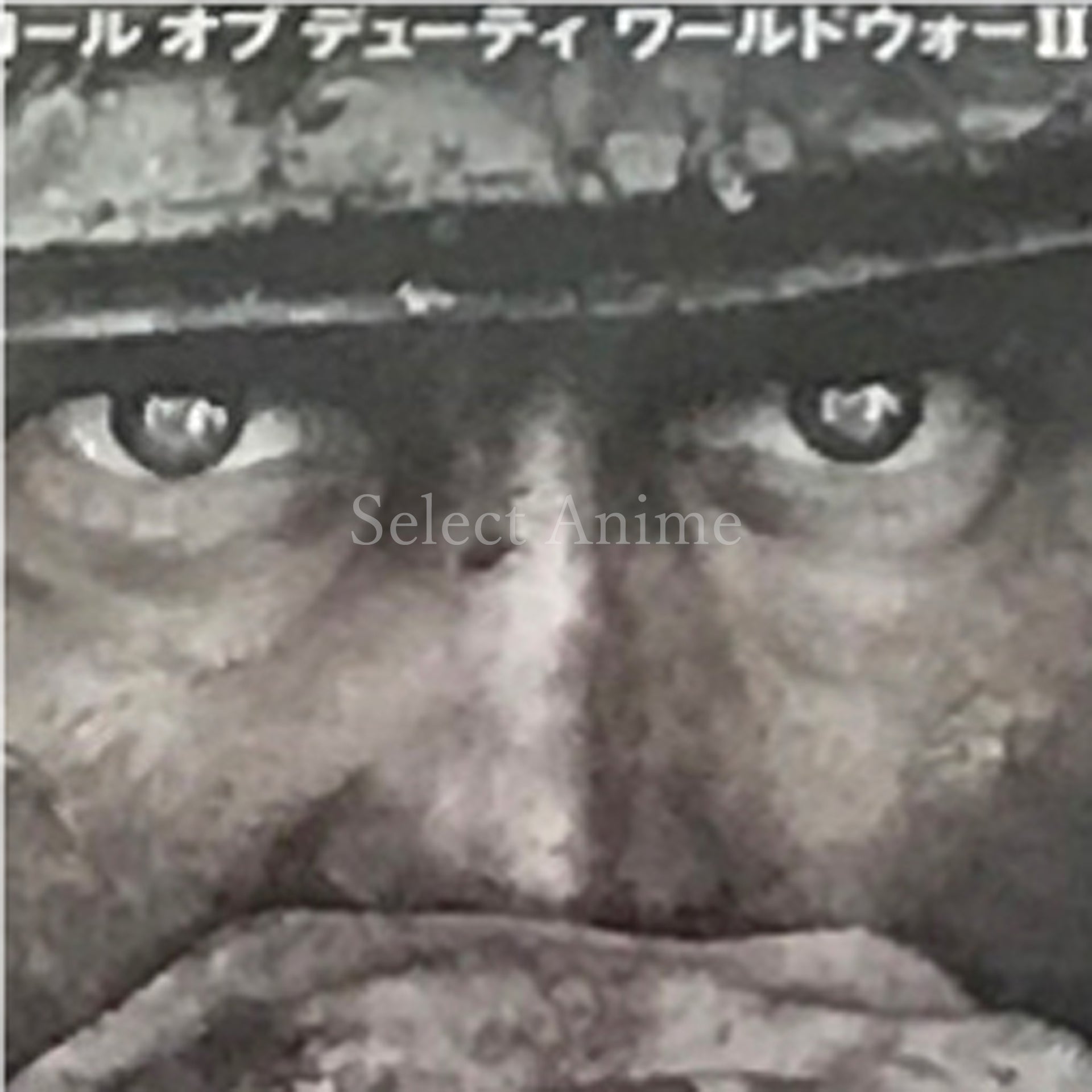 Call of Duty: WWII PlayStation 4 [USED]