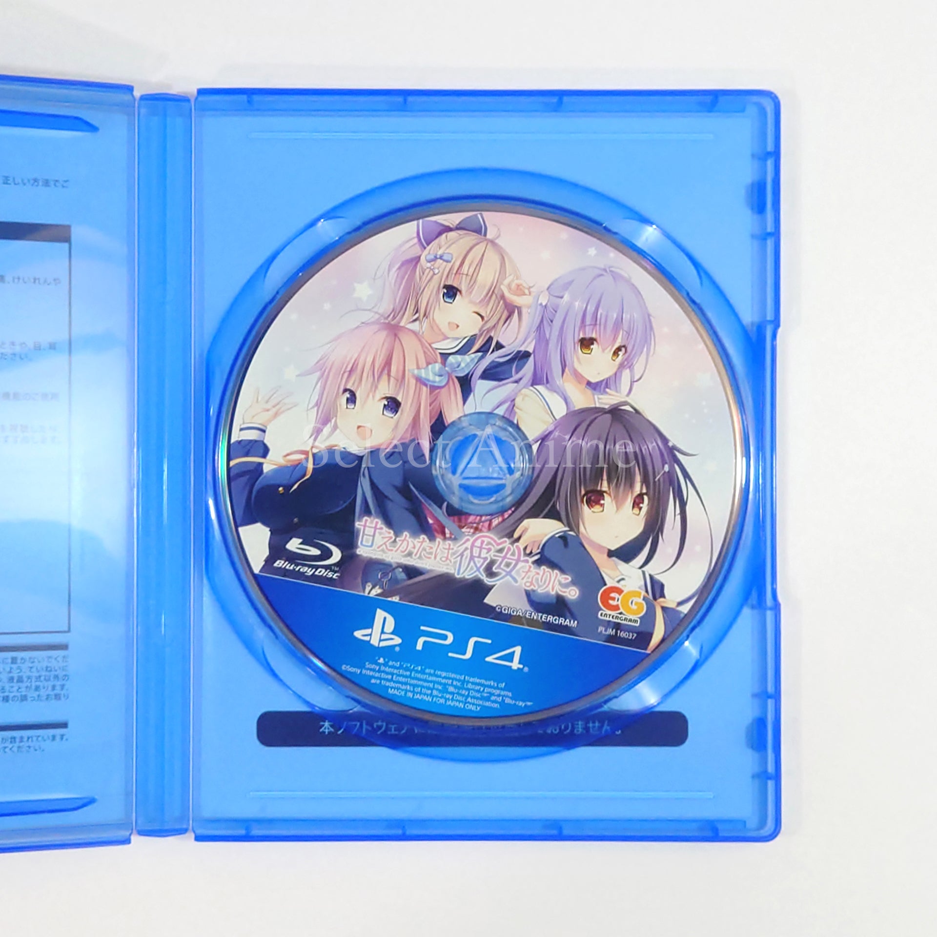 Amaekata wa Kanojo Nari ni. PlayStation 4 [USED]