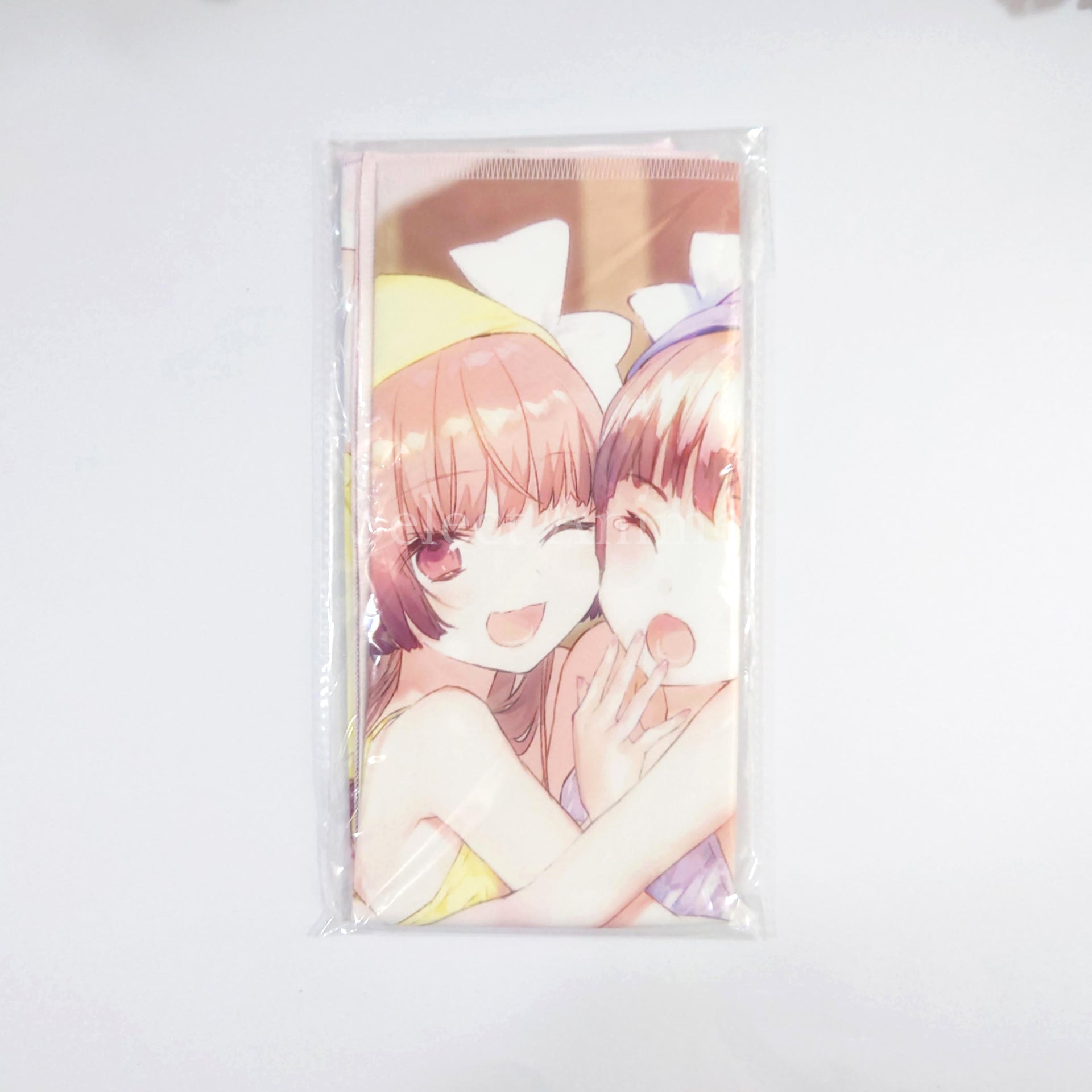 Atelier Lydie & Suelle: The Alchemists and the Mysterious Paintings Premium Box PlayStation 4 [USED]