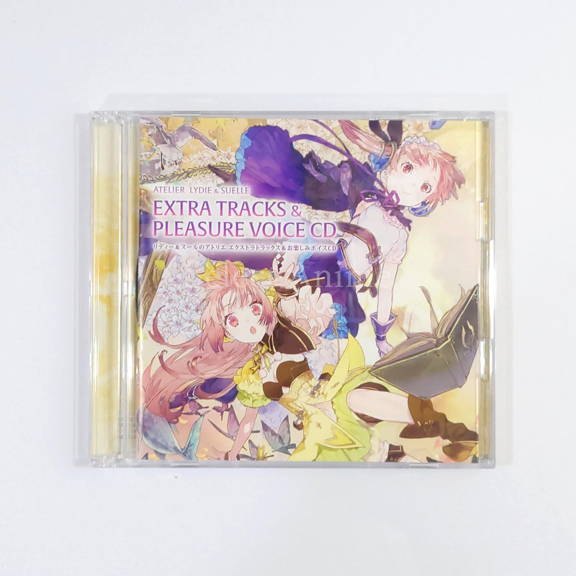 Atelier Lydie & Suelle: The Alchemists and the Mysterious Paintings Premium Box PlayStation 4 [USED]