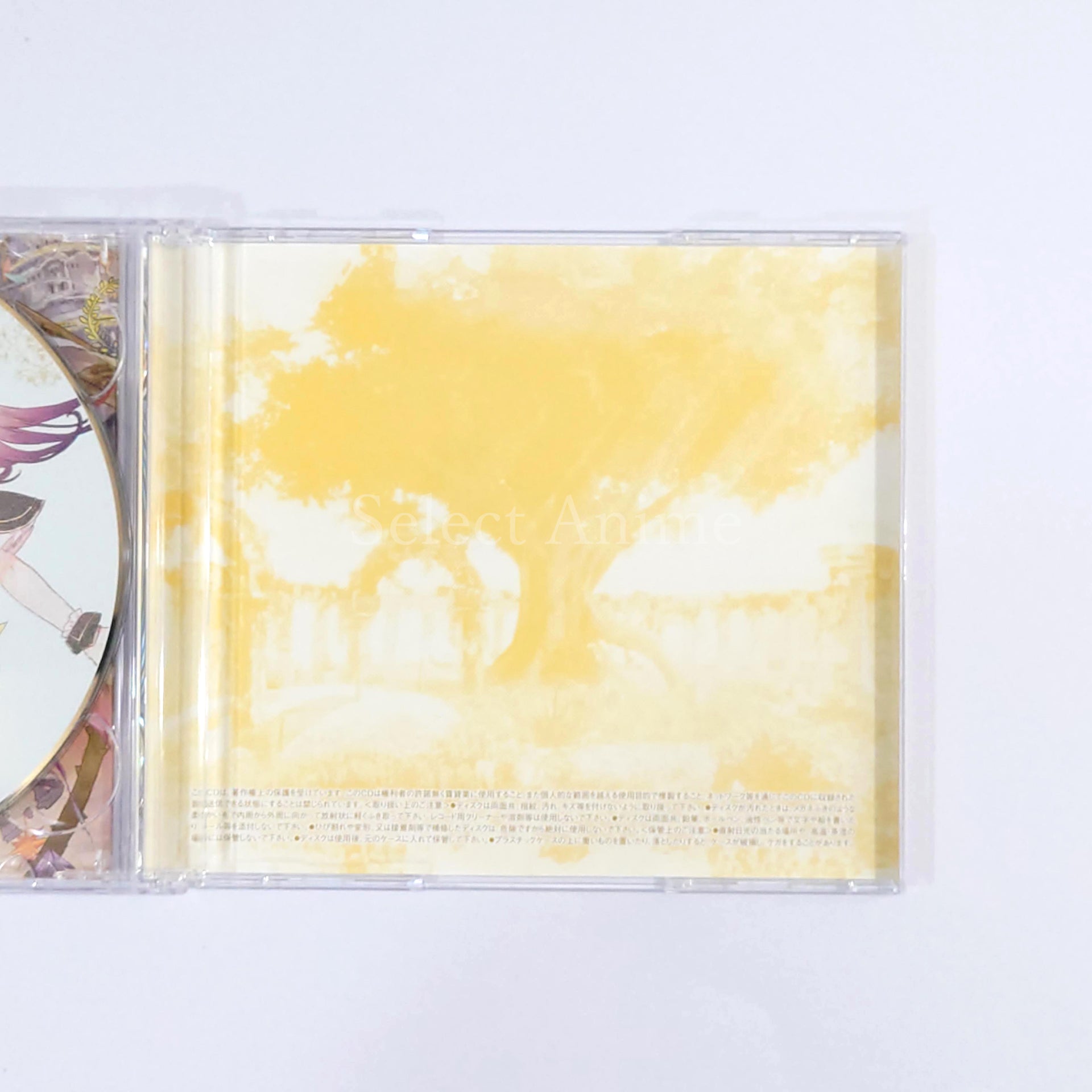 Atelier Lydie & Suelle: The Alchemists and the Mysterious Paintings Premium Box PlayStation 4 [USED]