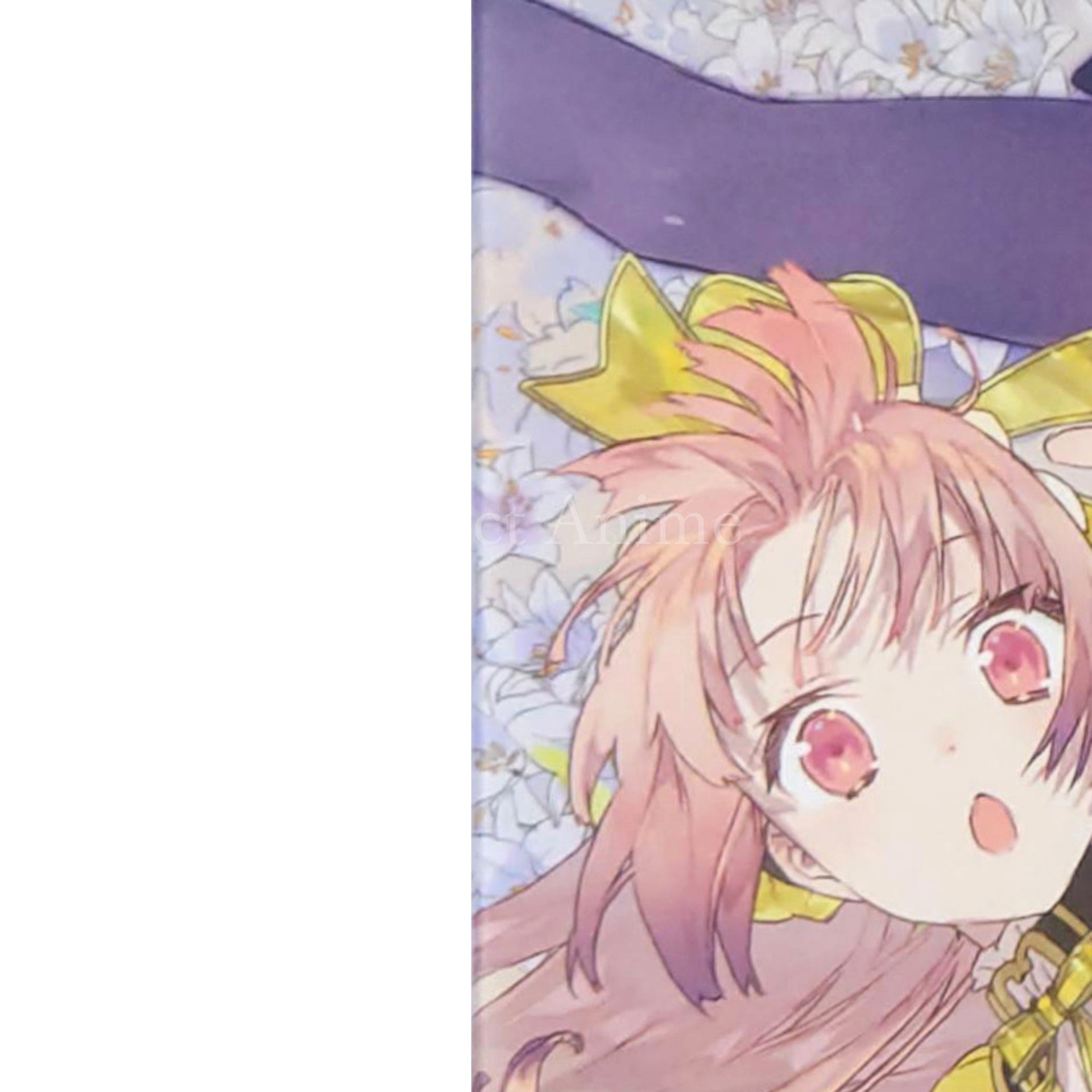 Atelier Lydie & Suelle: The Alchemists and the Mysterious Paintings Premium Box PlayStation 4 [USED]