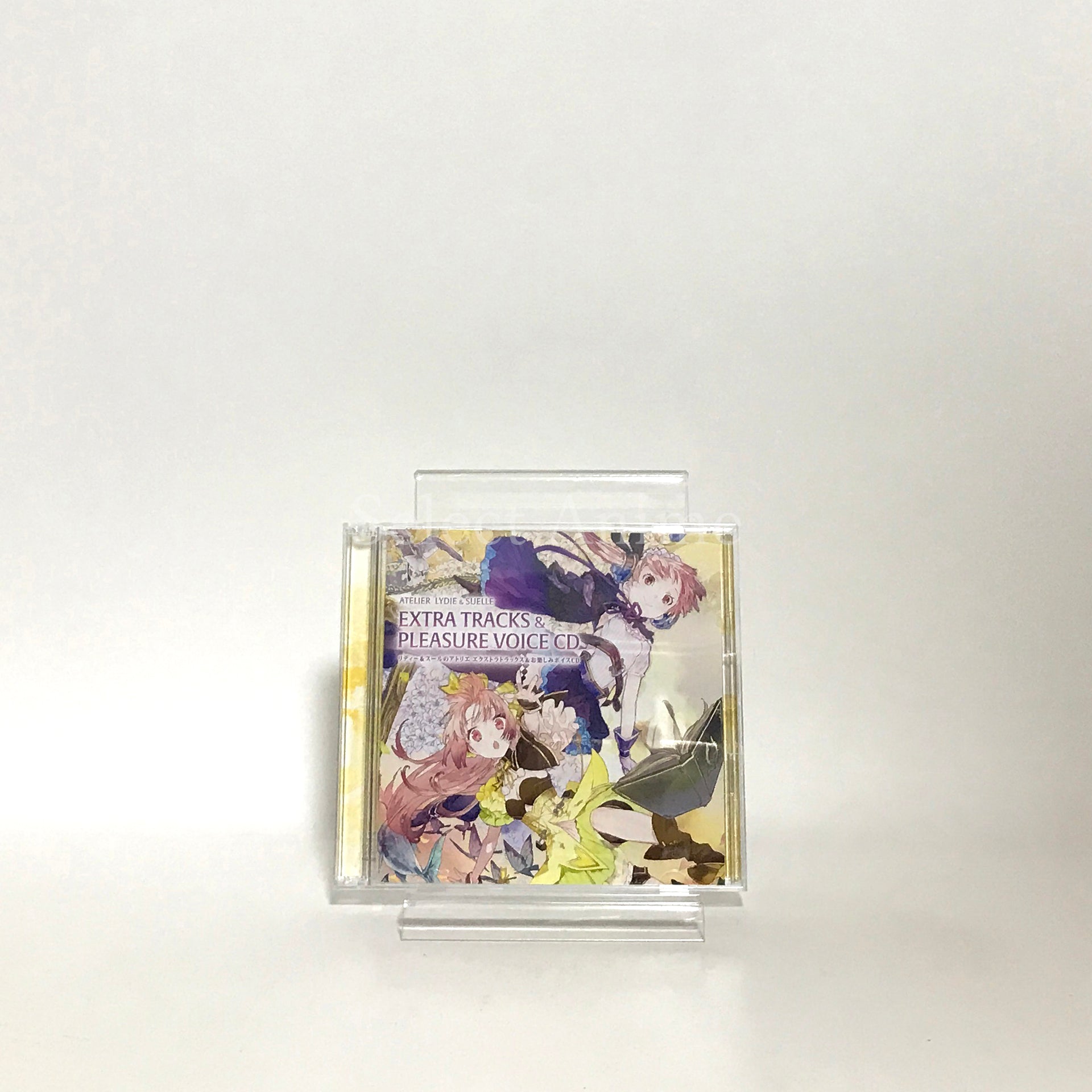 Atelier Lydie & Suelle: The Alchemists and the Mysterious Paintings Atelier 20th Anniversary Box PlayStation 4 [USED]