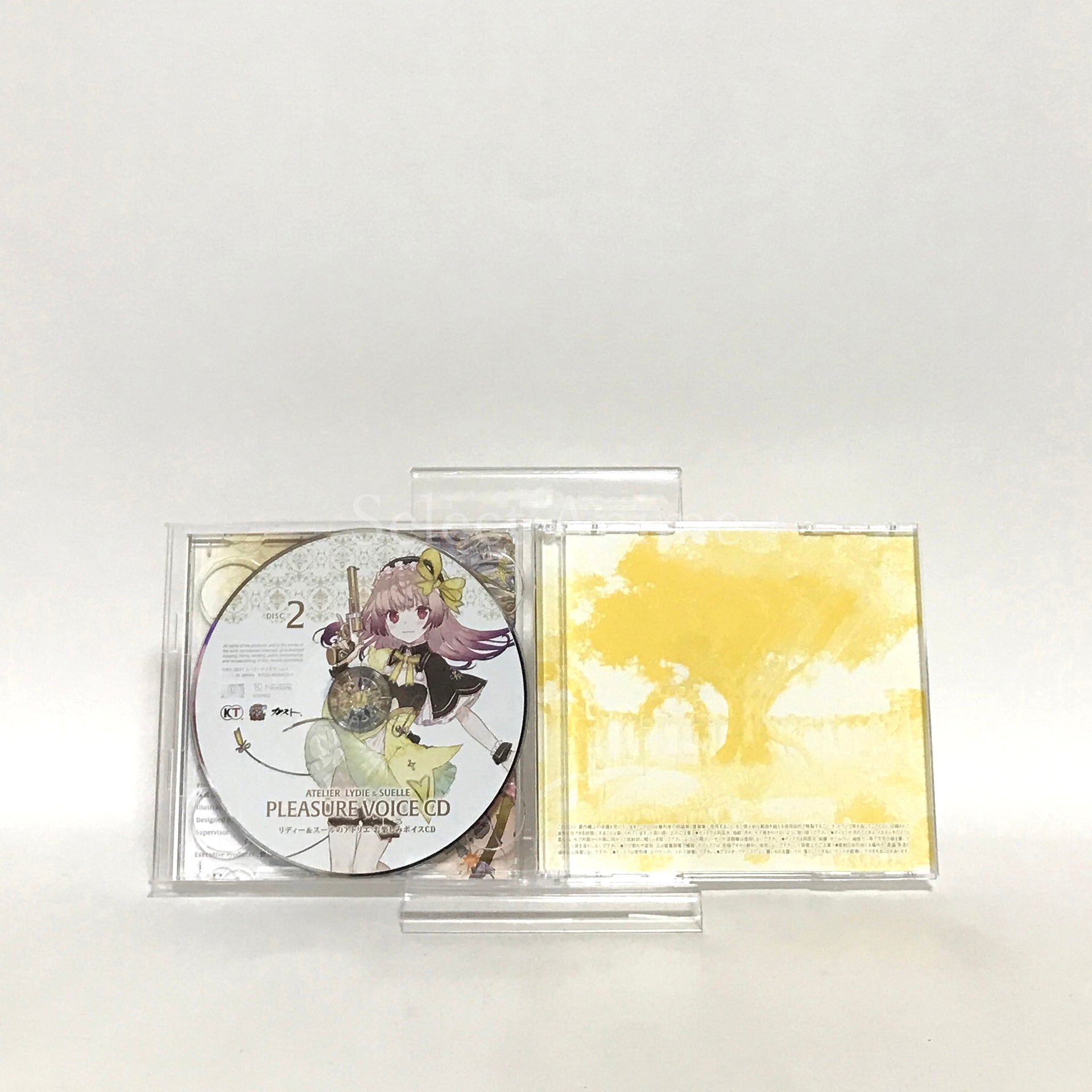 Atelier Lydie & Suelle: The Alchemists and the Mysterious Paintings Atelier 20th Anniversary Box PlayStation 4 [USED]