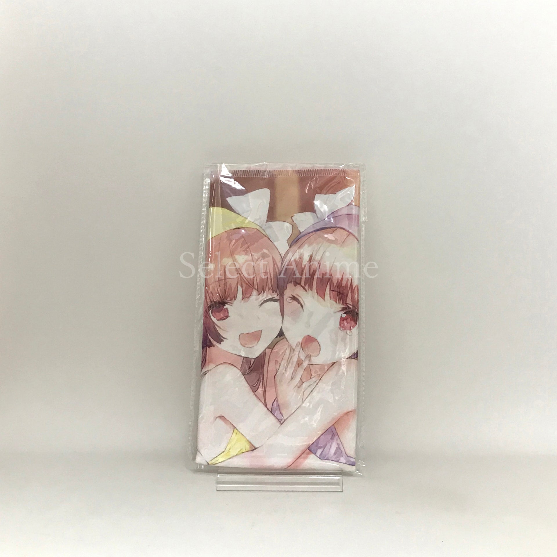 Atelier Lydie & Suelle: The Alchemists and the Mysterious Paintings Atelier 20th Anniversary Box PlayStation 4 [USED]