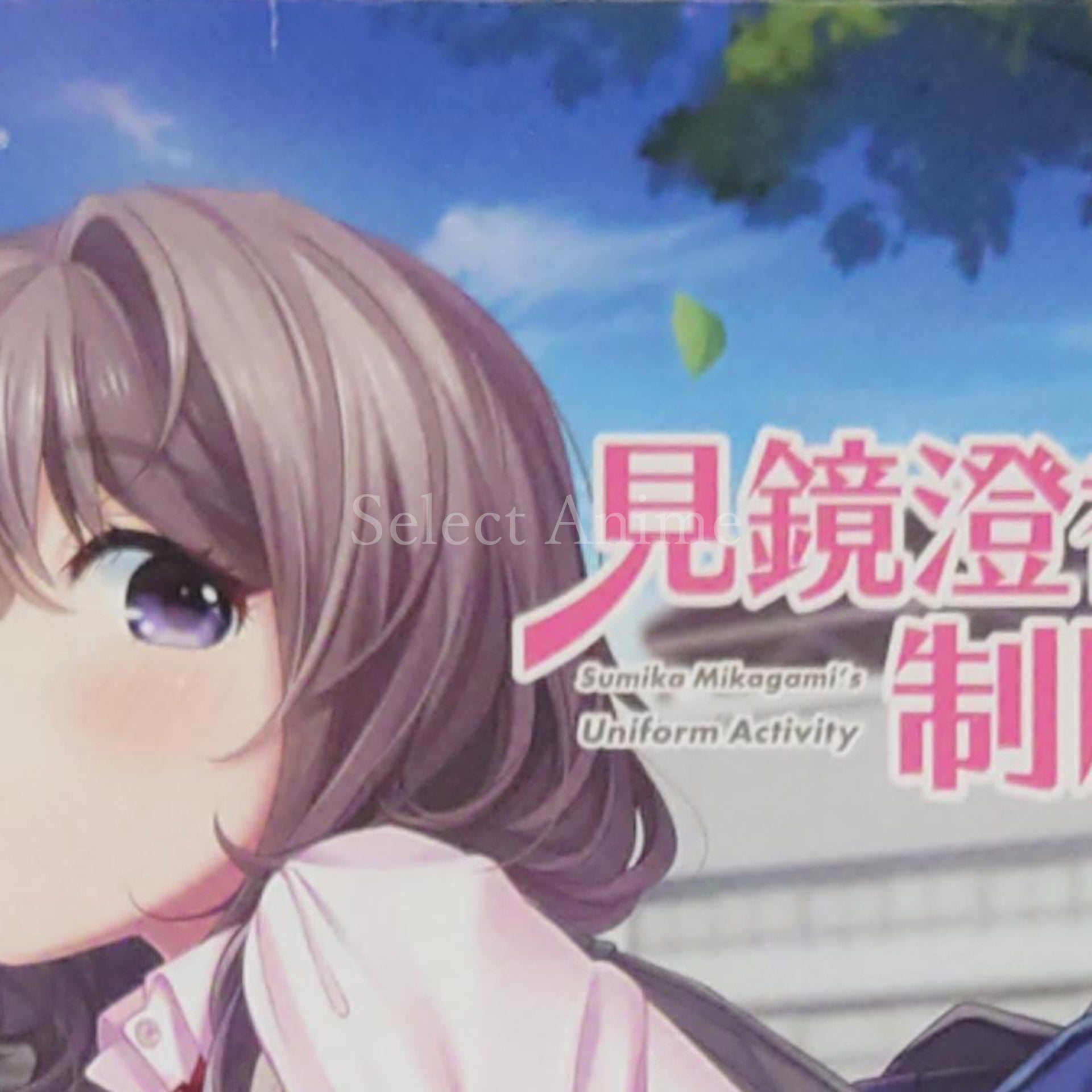 Mikagami Sumika no Seifuku Katsudou Premium Edition PlayStation 4 [USED]