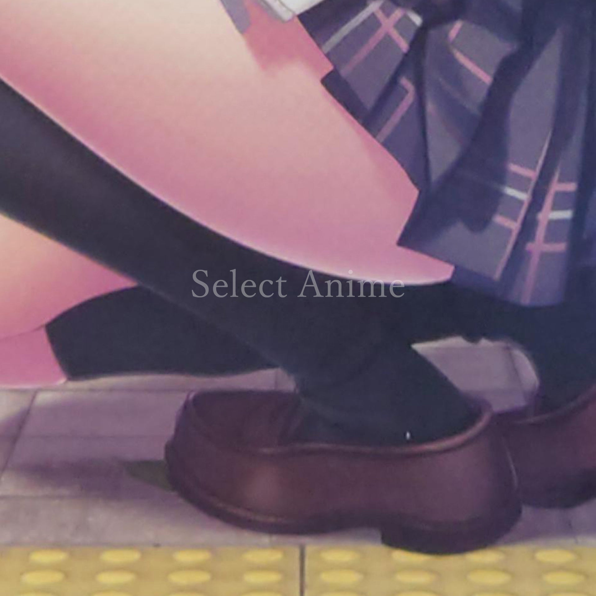 Mikagami Sumika no Seifuku Katsudou Premium Edition PlayStation 4 [USED]