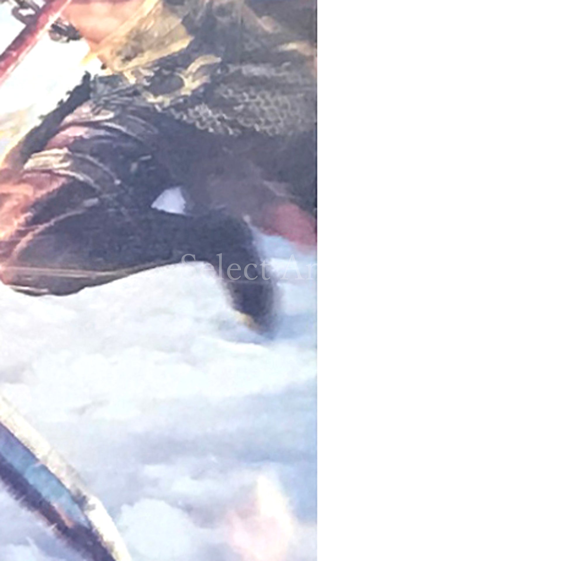 Warriors Orochi 4 Premium Box PlayStation 4 [USED]