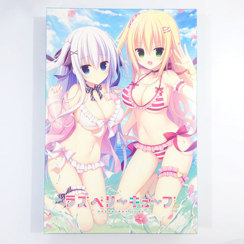 Raspberry Cube First Limited Special Edition PlayStation 4 [USED] — photo 1