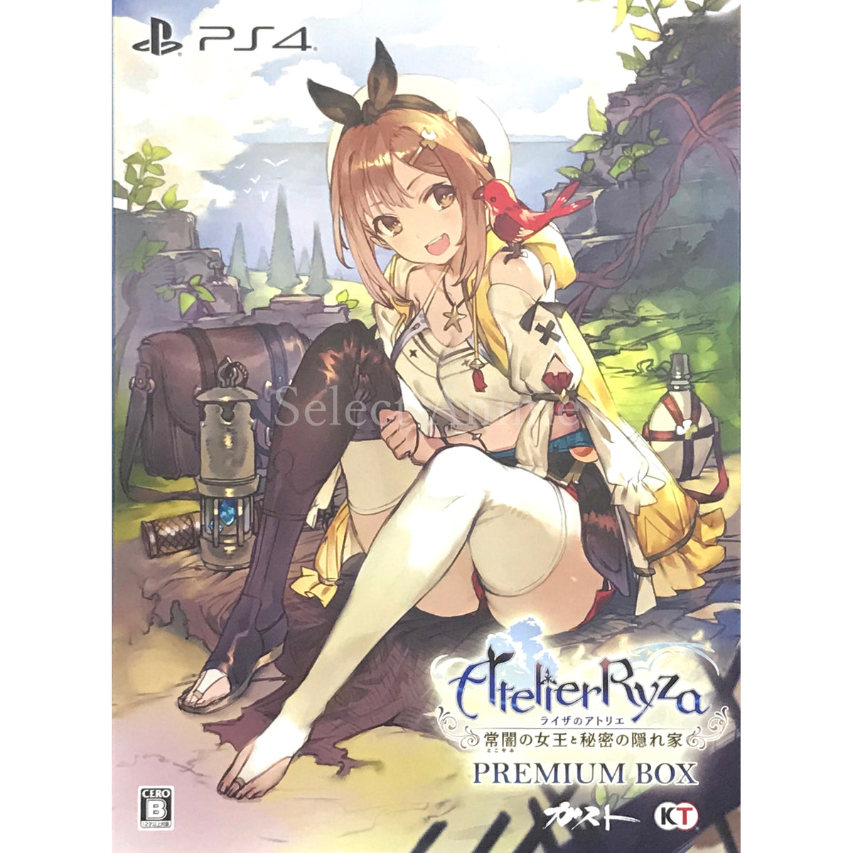 Atelier Ryza: Ever Darkness & the Secret Hideout Premium Box PlayStation 4 [USED]