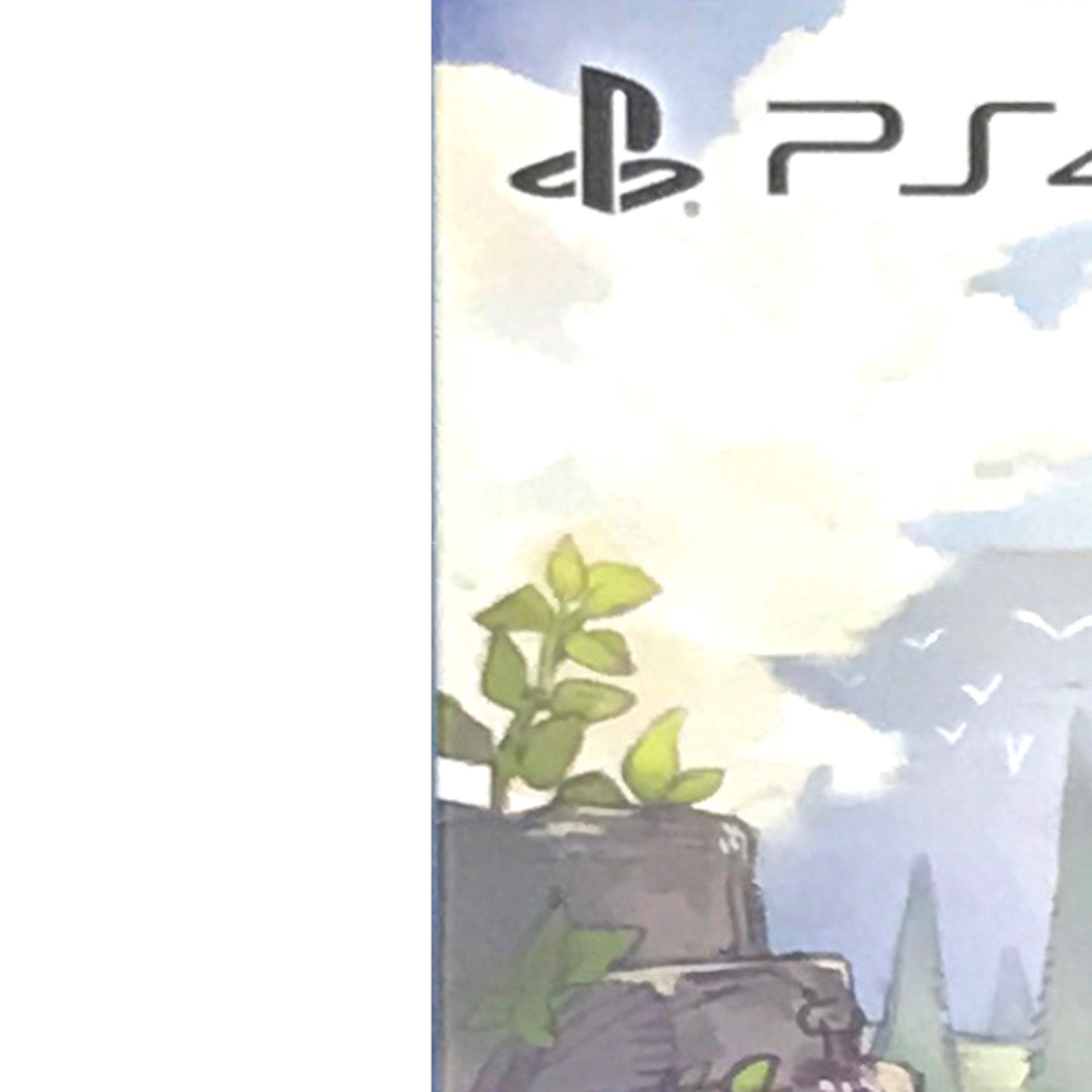 Atelier Ryza: Ever Darkness & the Secret Hideout Premium Box PlayStation 4 [USED]