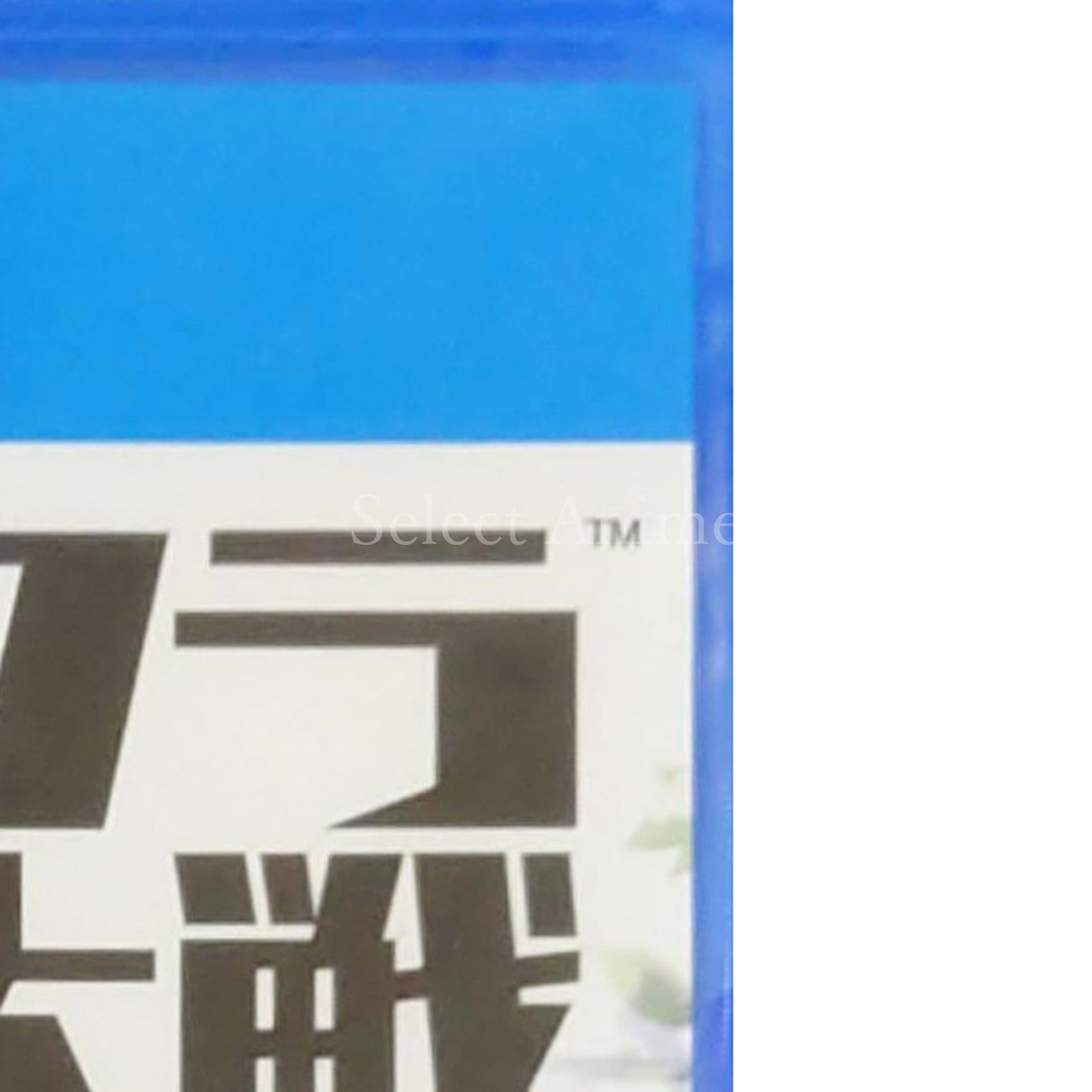 Sakura Wars 2019 PlayStation 4 [USED]