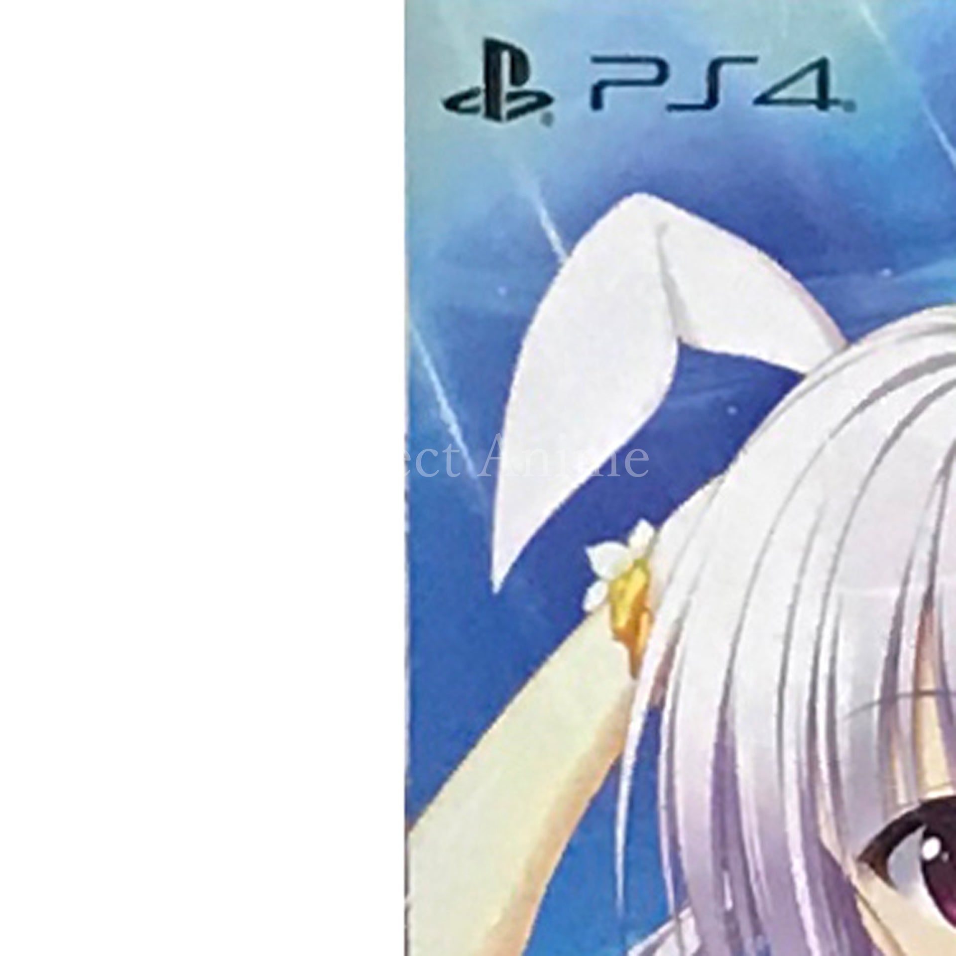 Hatsuyuki Sakura Limited Edition PlayStation 4 [USED]