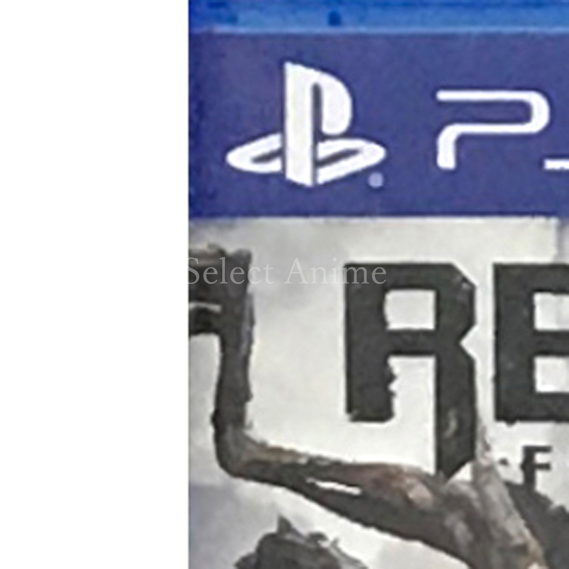 Remnant: From the Ashes PlayStation 4 [USED]