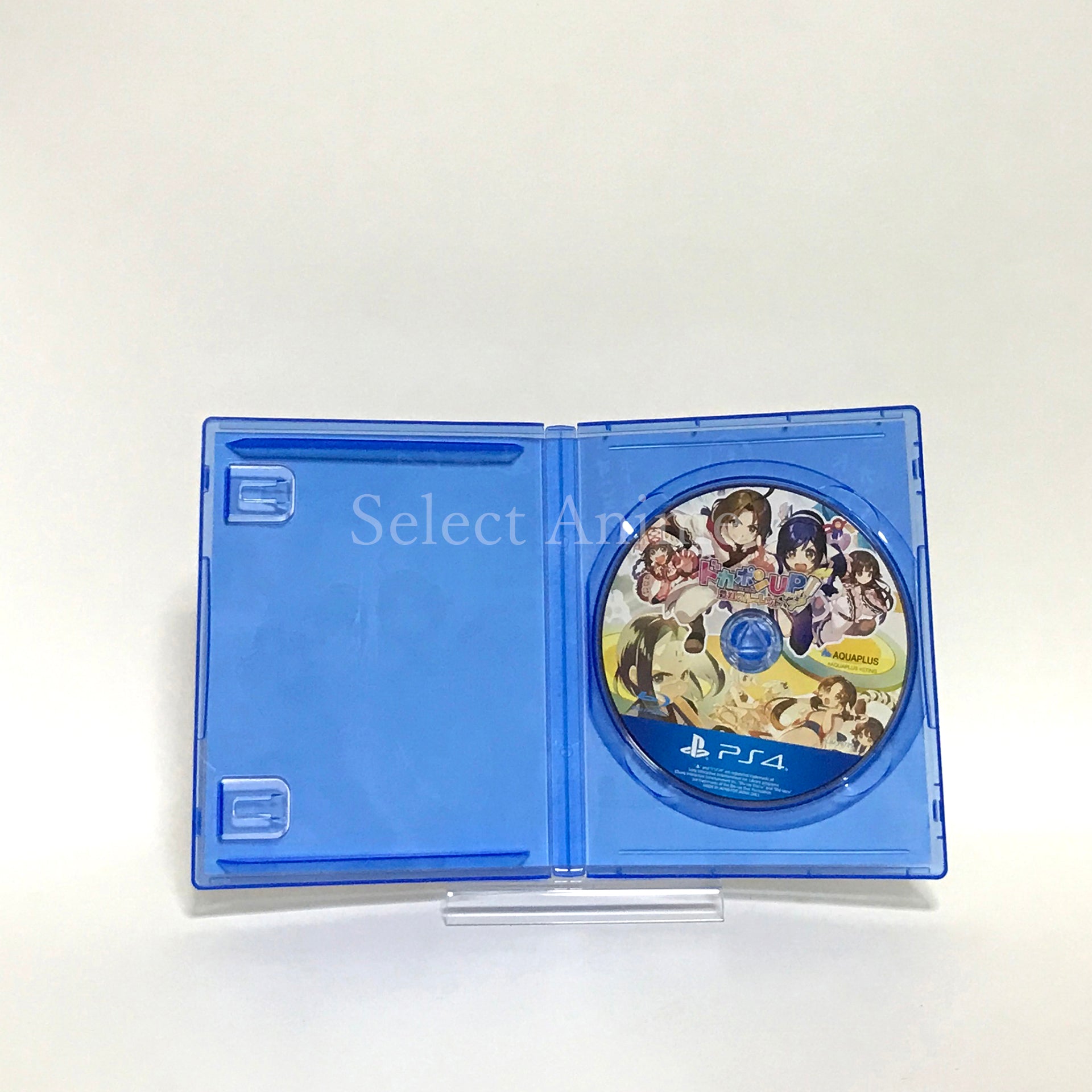 Dokapon UP: Mugen no Roulette Premium Edition PlayStation 4 [USED]