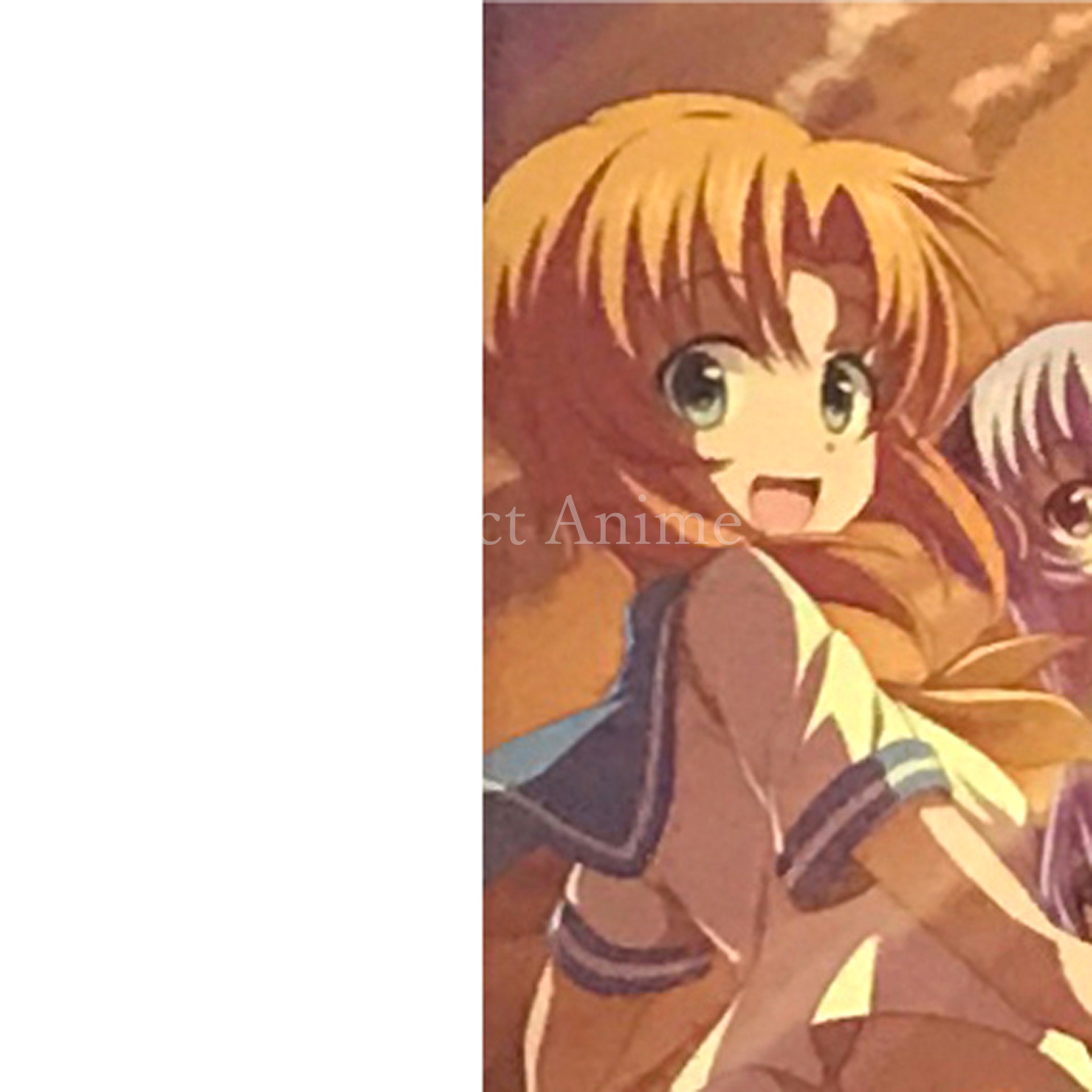 Higurashi: When They Cry Hou Limited Edition Nintendo Switch [USED]