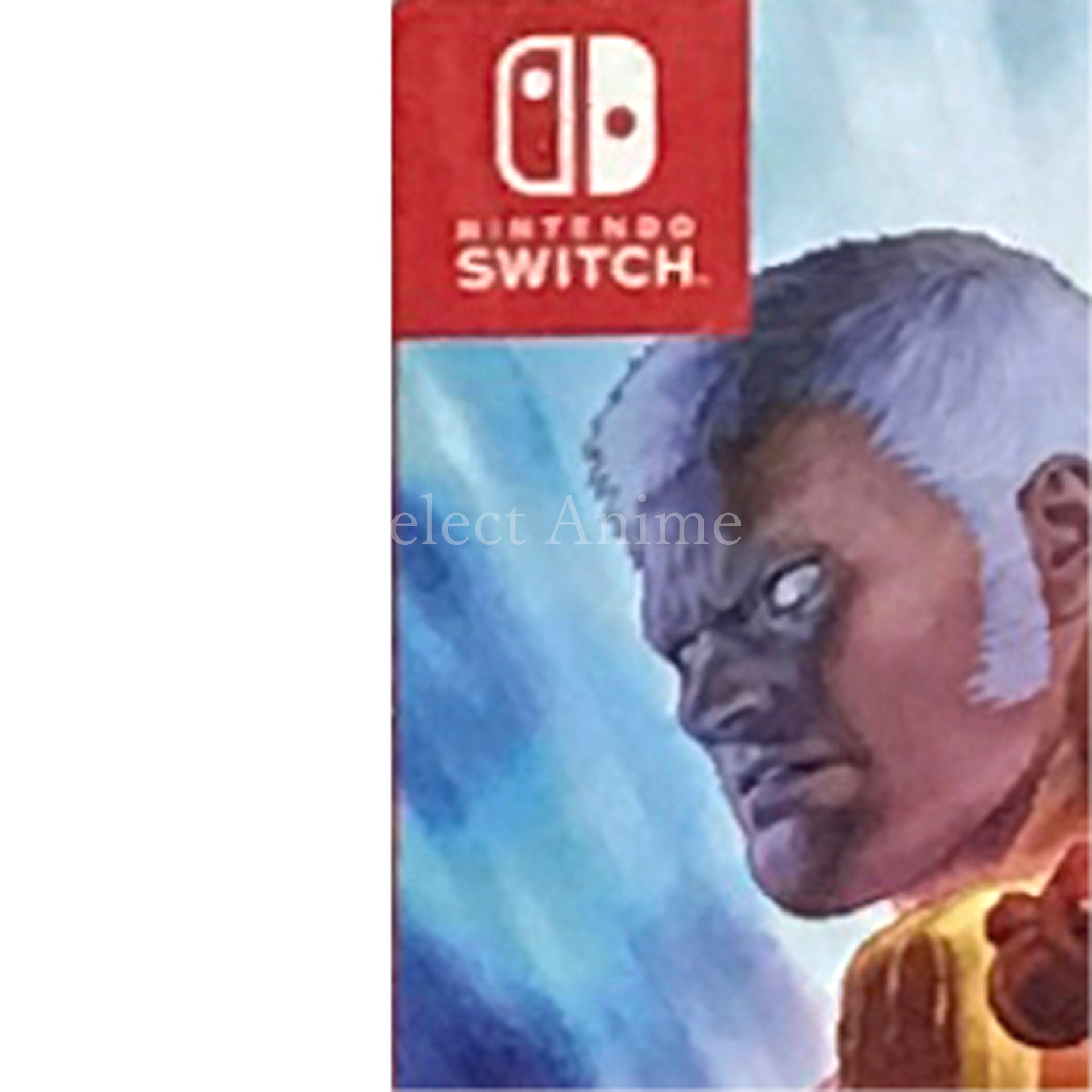 Street Fighter: 30th Anniversary Collection International Nintendo Switch [USED]
