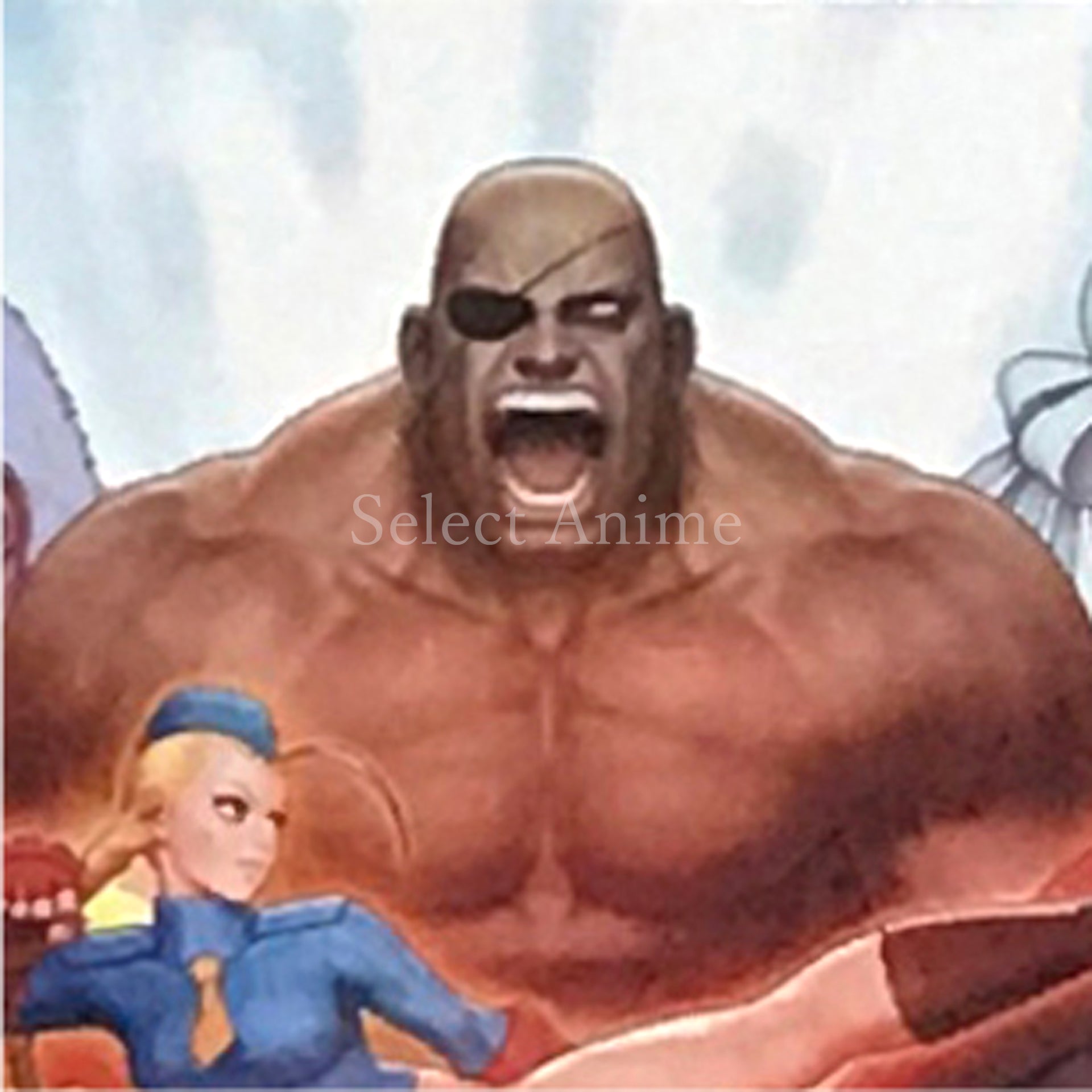 Street Fighter: 30th Anniversary Collection International Nintendo Switch [USED]