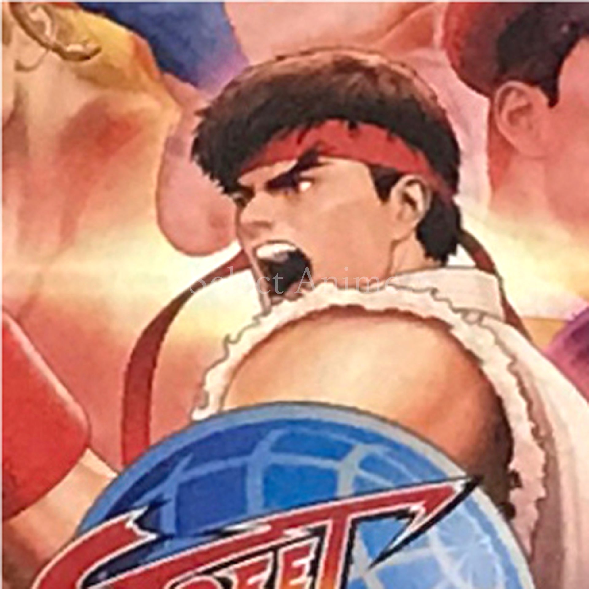 Street Fighter: 30th Anniversary Collection International Nintendo Switch [USED]