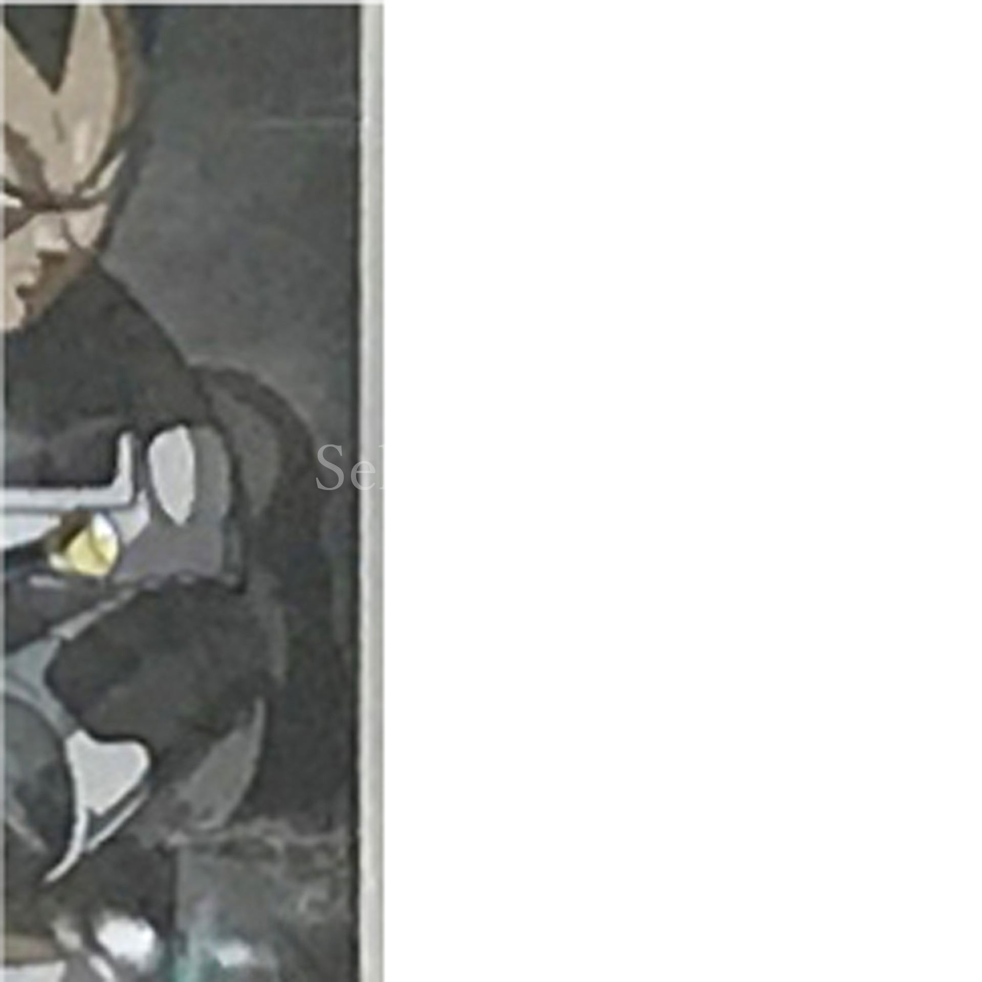 Super Dragon Ball Heroes World Mission Nintendo Switch [USED]