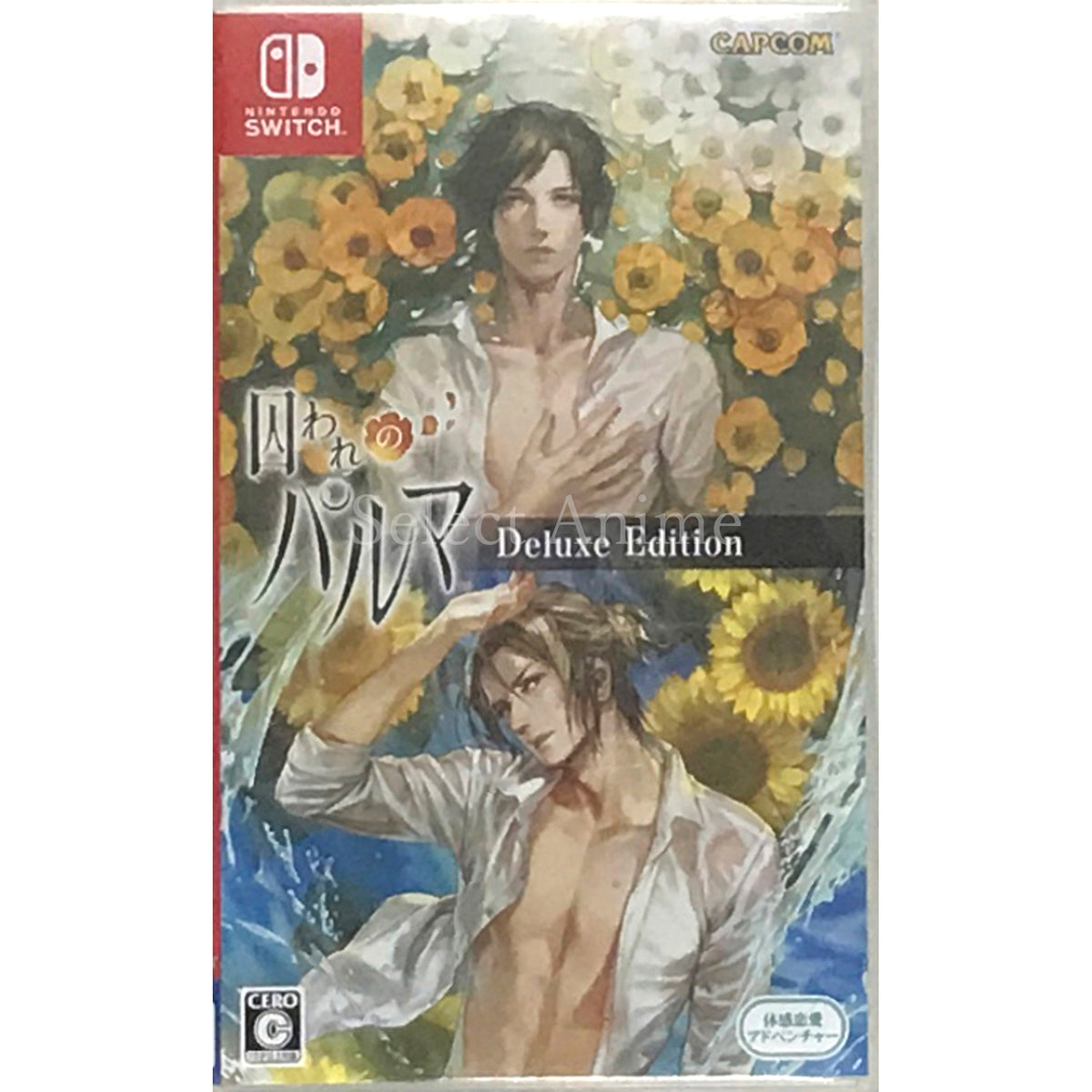 Toraware no Palm Deluxe Edition Nintendo Switch [USED]