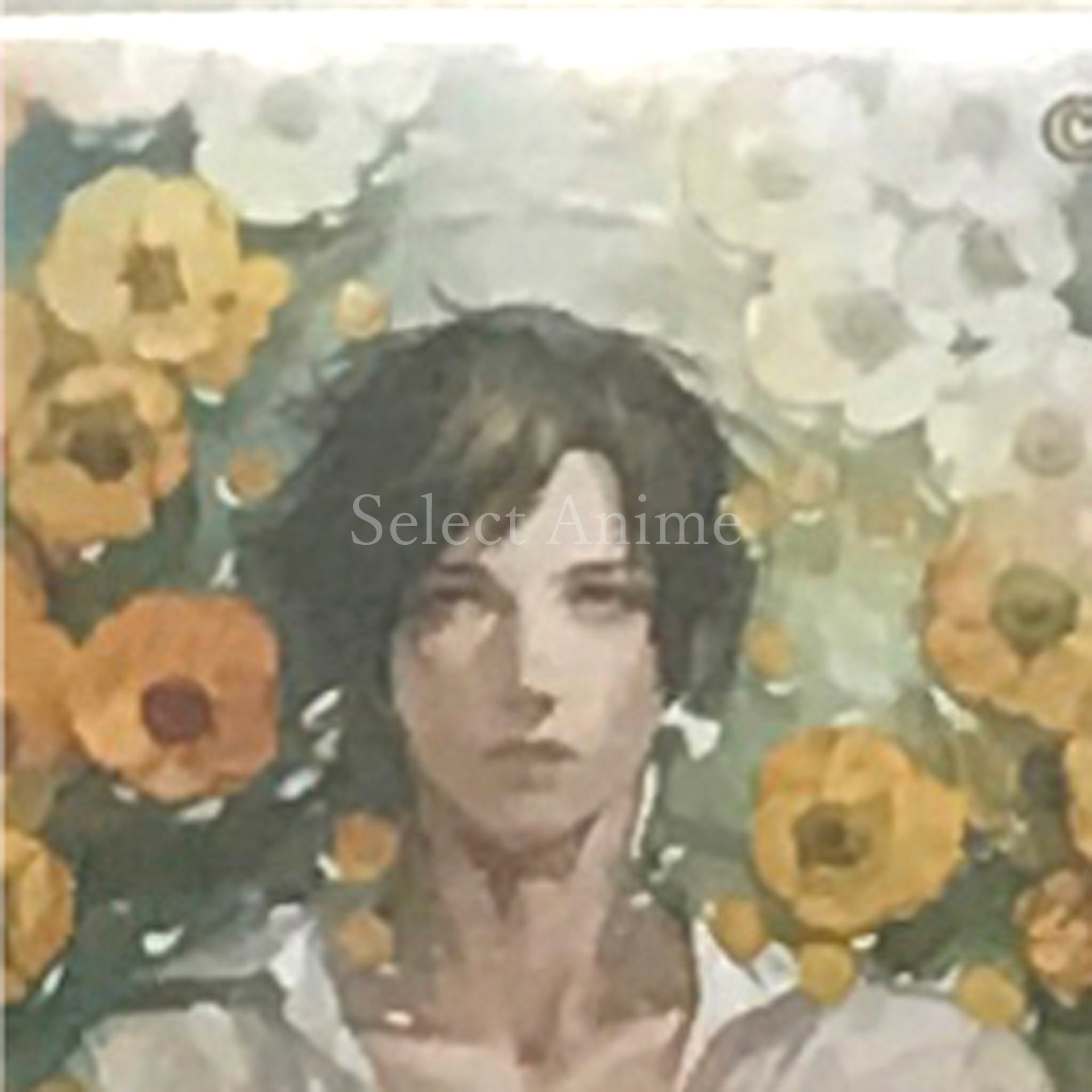 Toraware no Palm Deluxe Edition Nintendo Switch [USED]