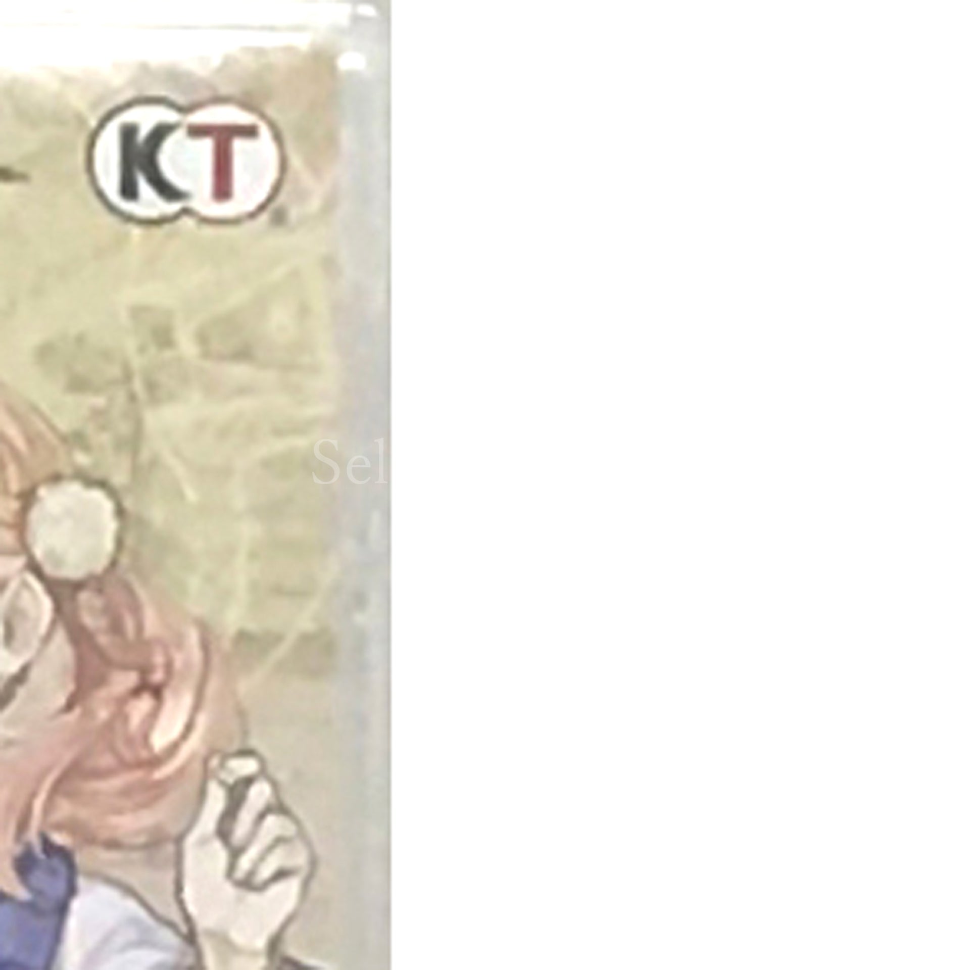 Atelier Escha & Logy: Alchemists of the Dusk Sky DX Nintendo Switch [USED]
