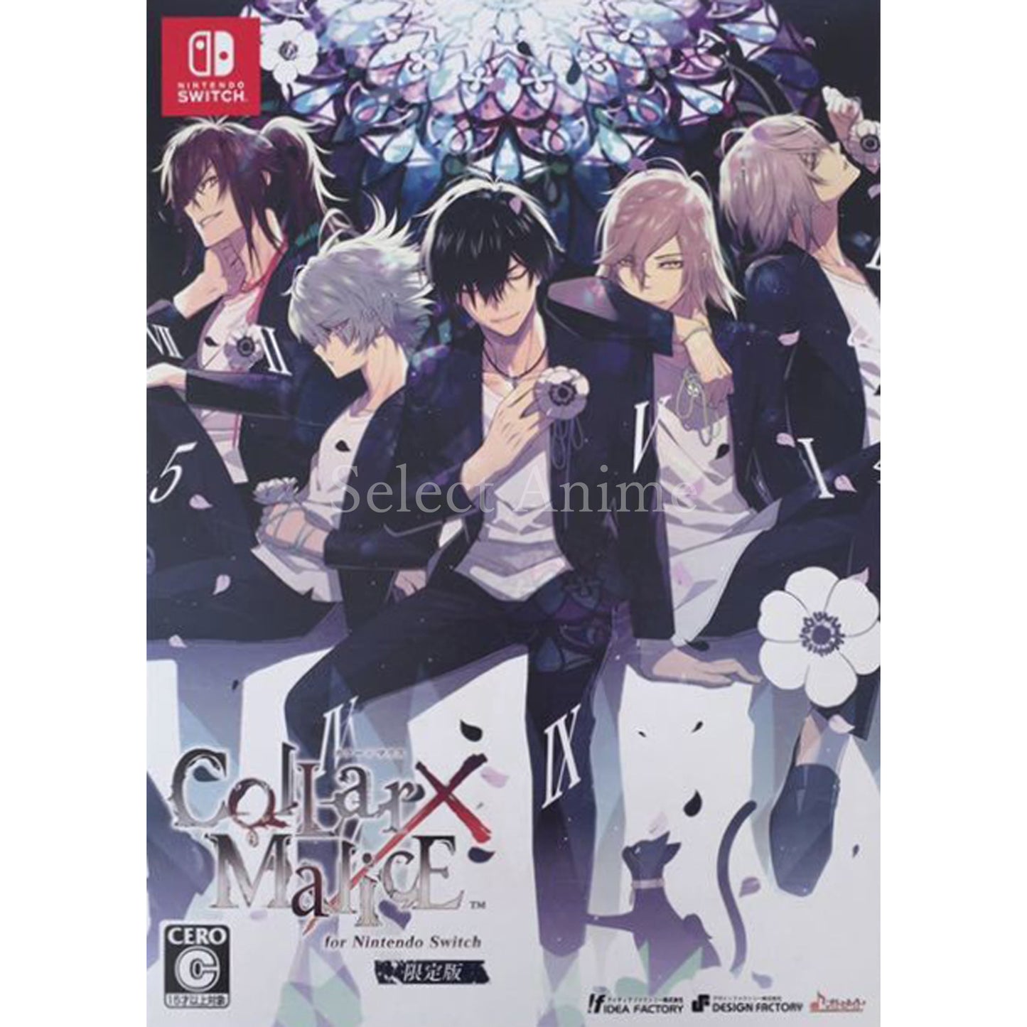Collar x Malice for Nintendo Switch Limited Edition Nintendo Switch [USED]