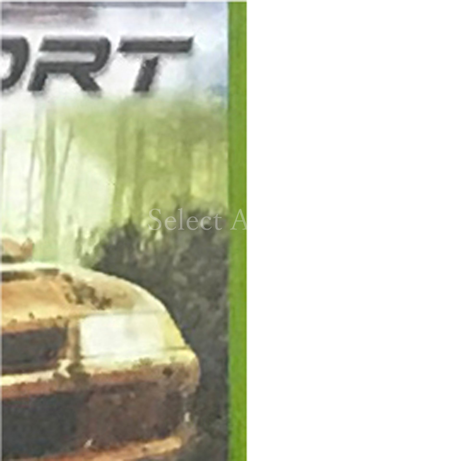 RalliSport Challenge Xbox [USED]