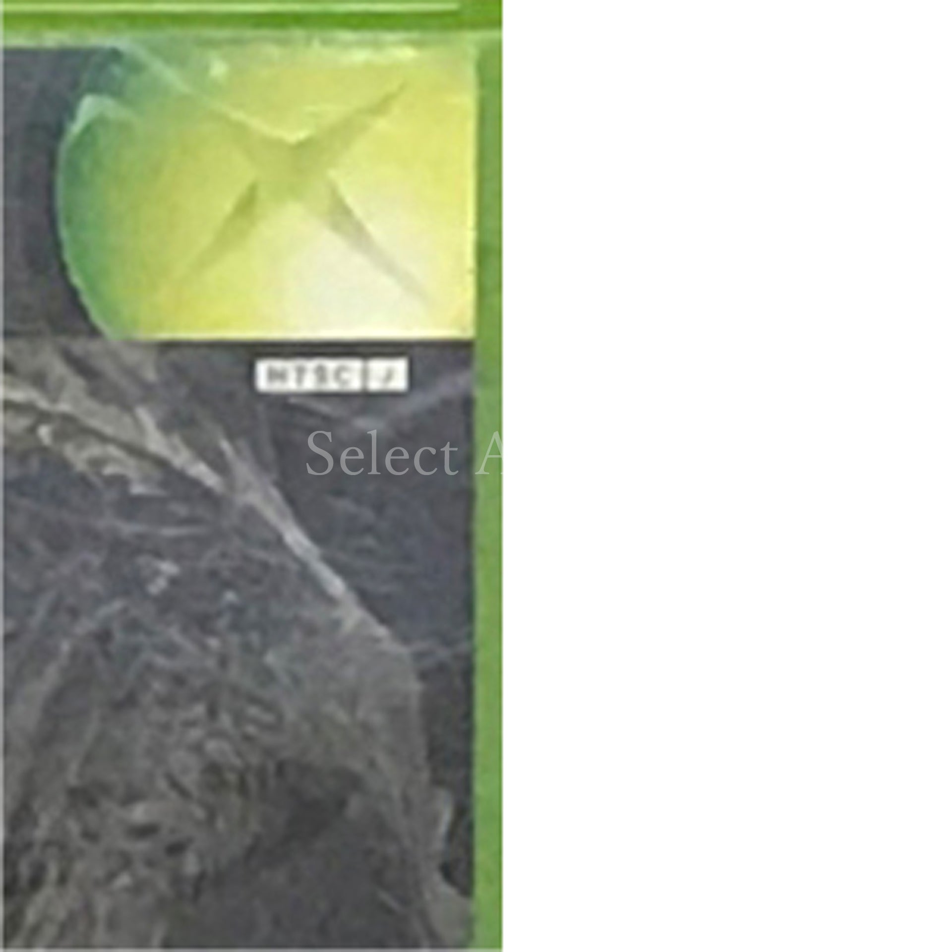 Dino Crisis 3 Xbox [USED]