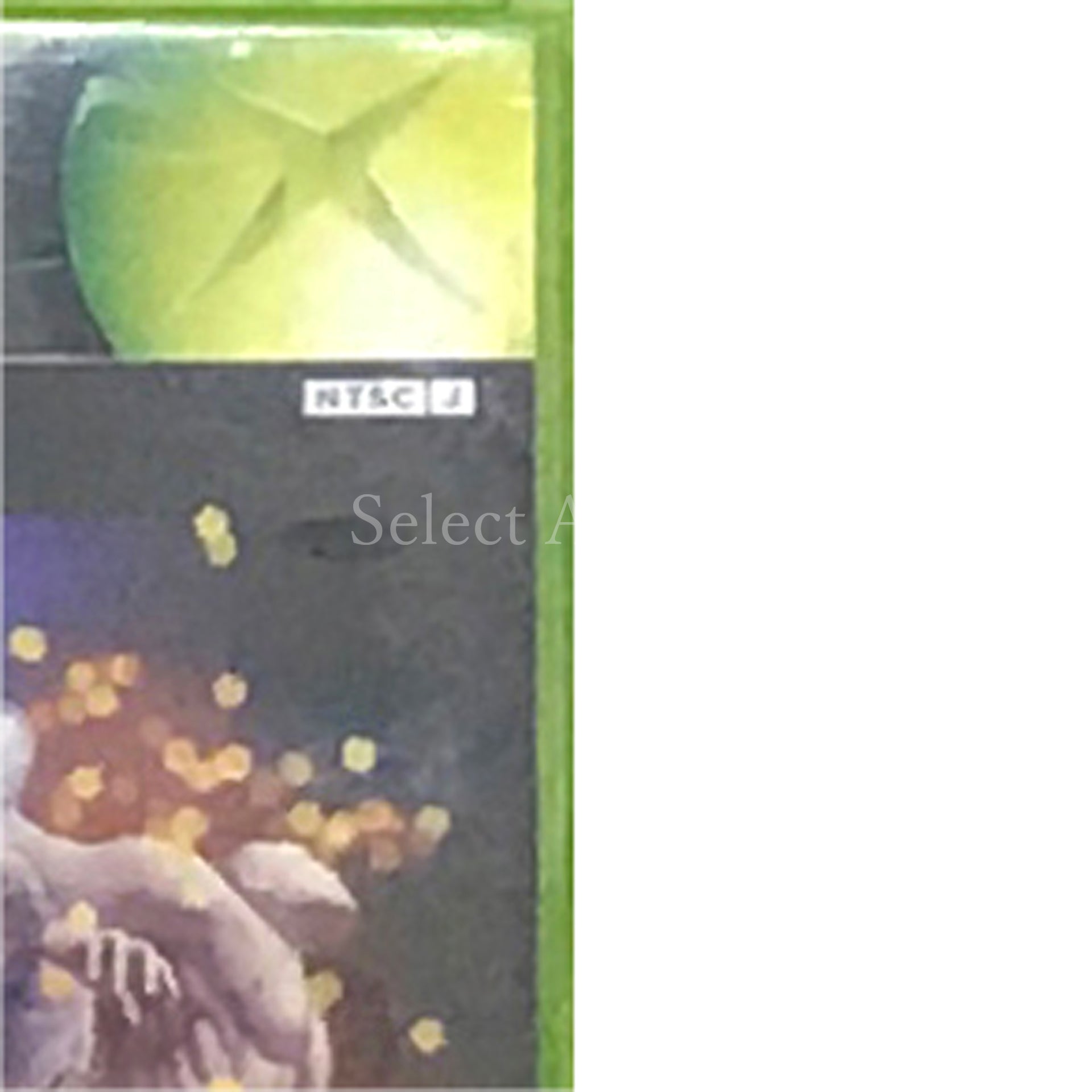 Breakdown Xbox [USED]