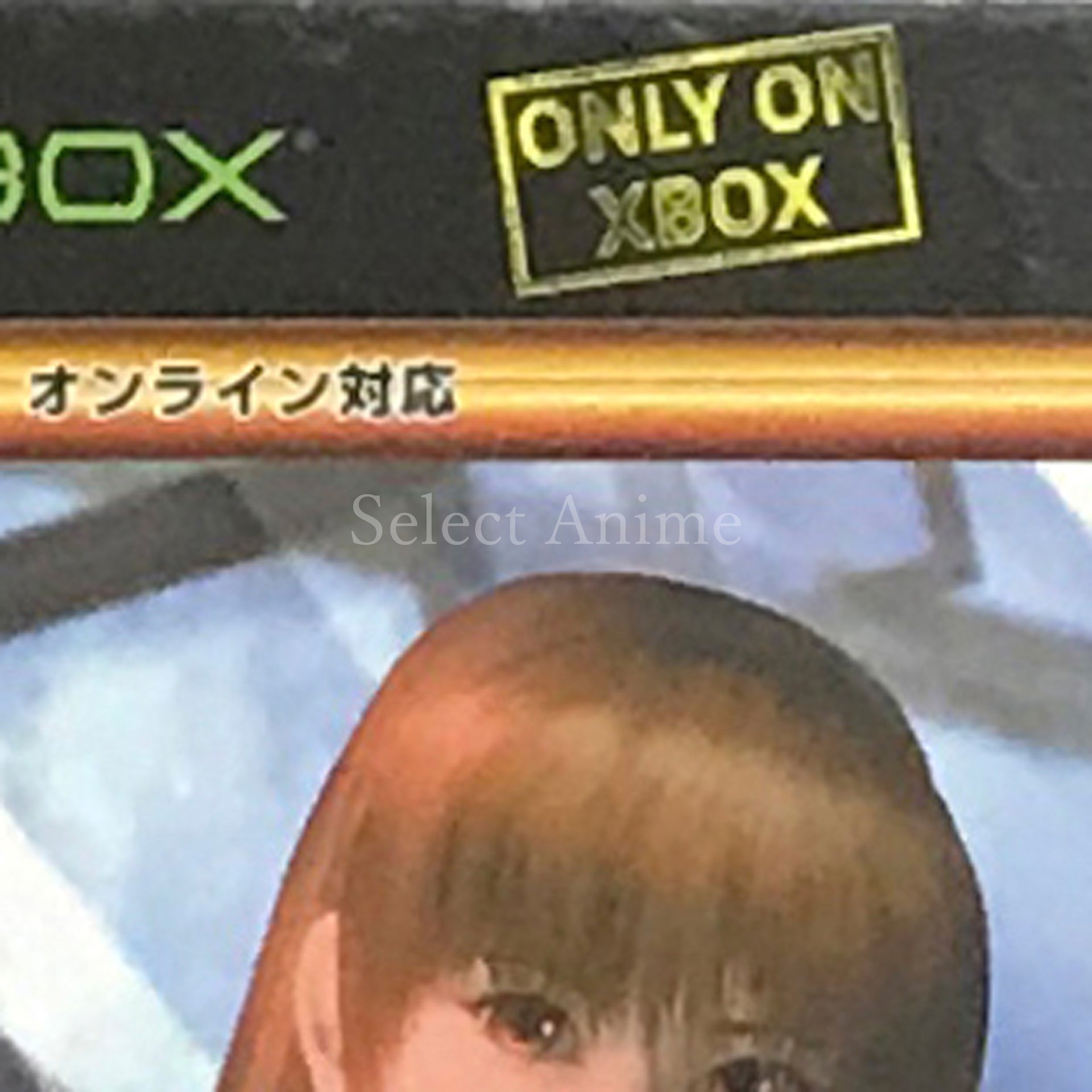 Dead or Alive Ultimate Xbox [USED]