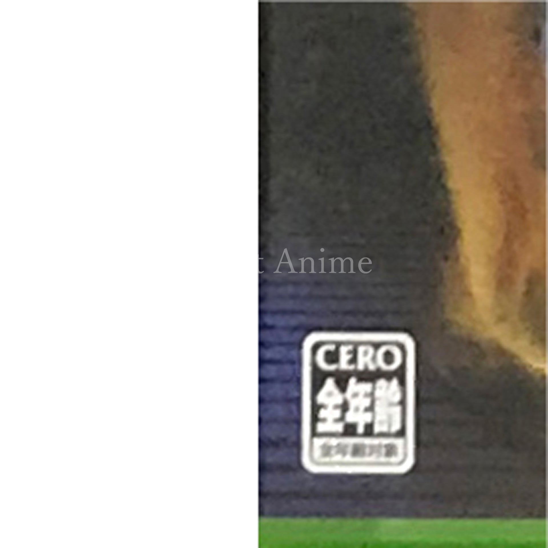 RalliSport Challenge 2 Xbox [USED]