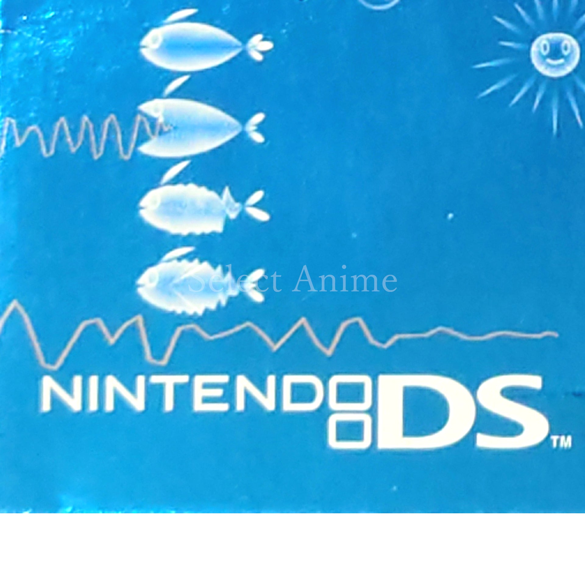 Electroplankton NINTENDO DS [USED]