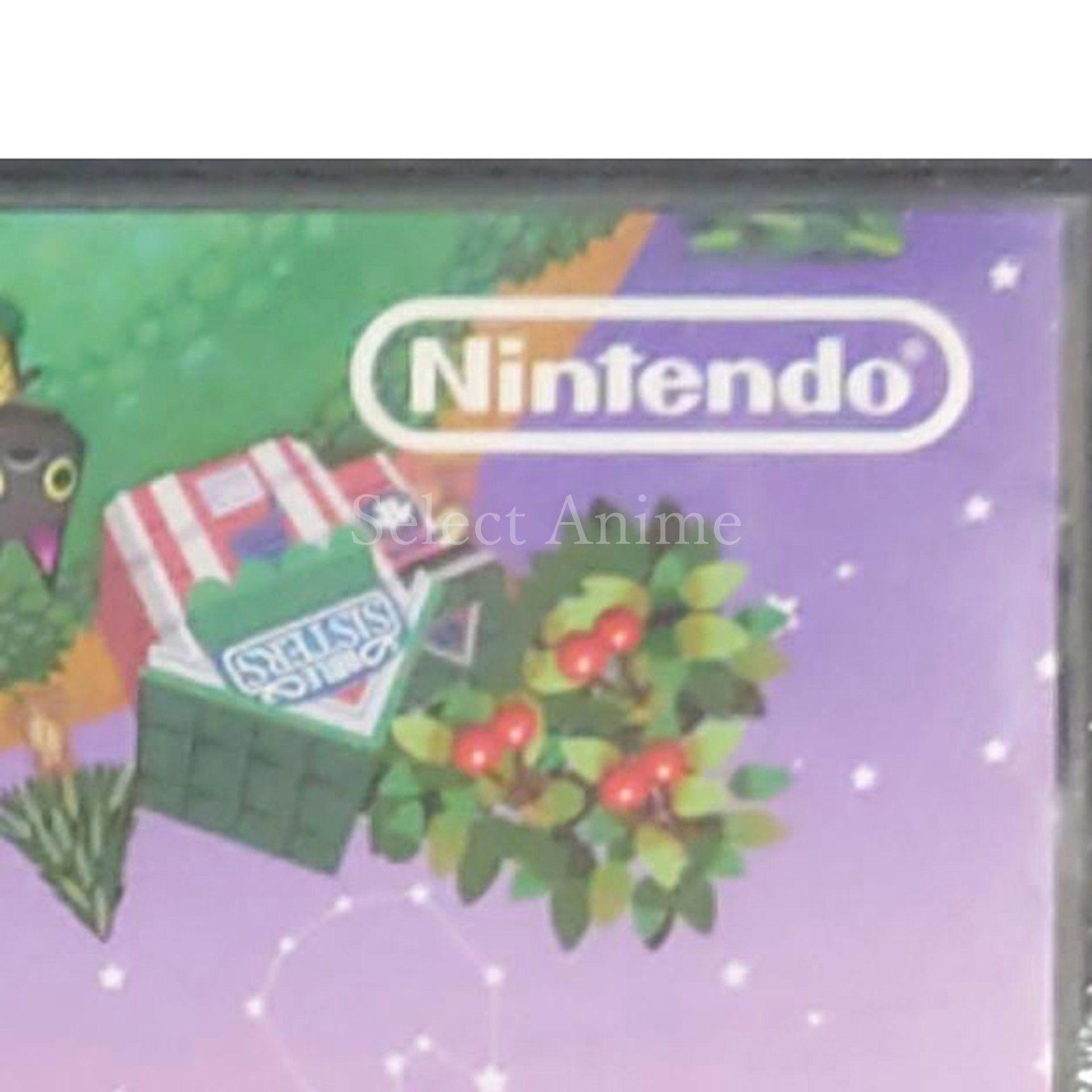Animal Crossing: Wild World NINTENDO DS [USED]