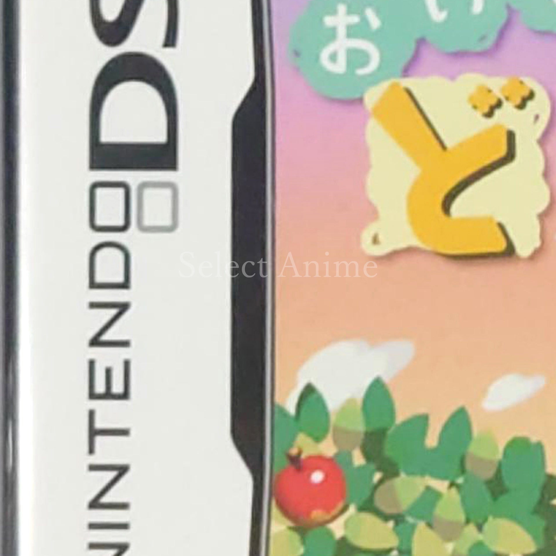 Animal Crossing: Wild World NINTENDO DS [USED]