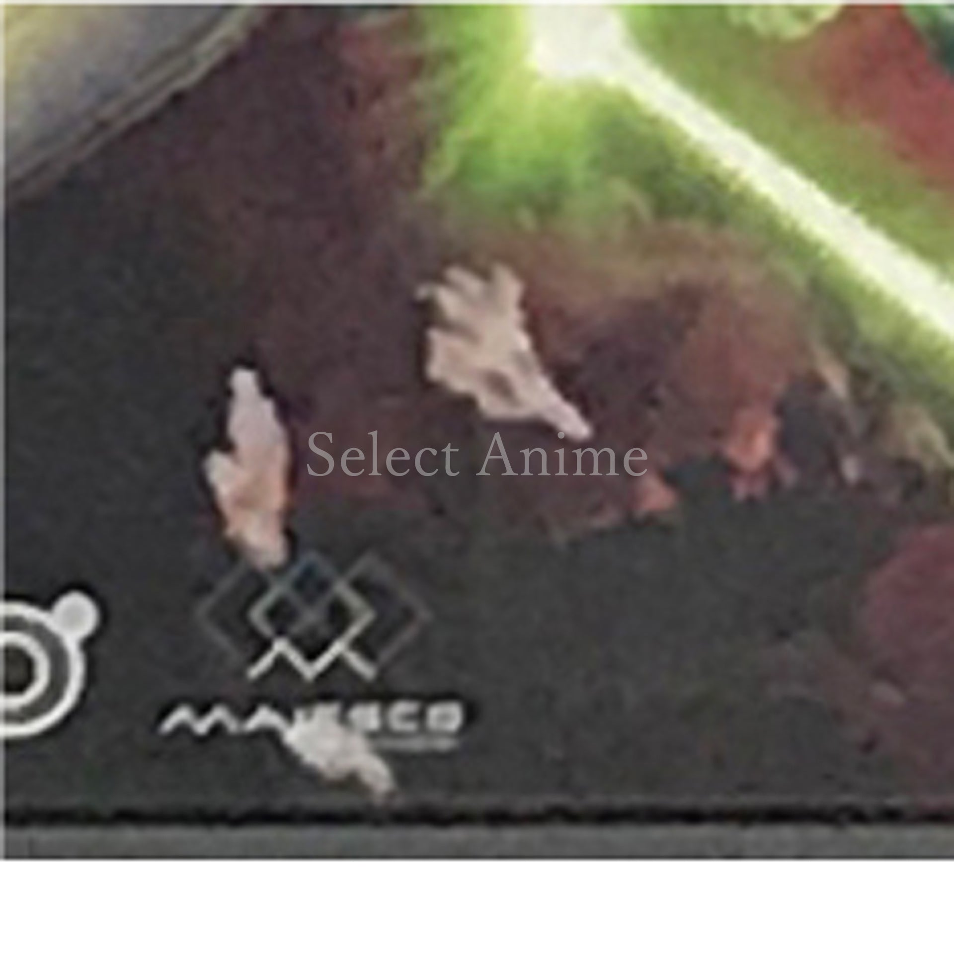 Nanostray NINTENDO DS [USED]