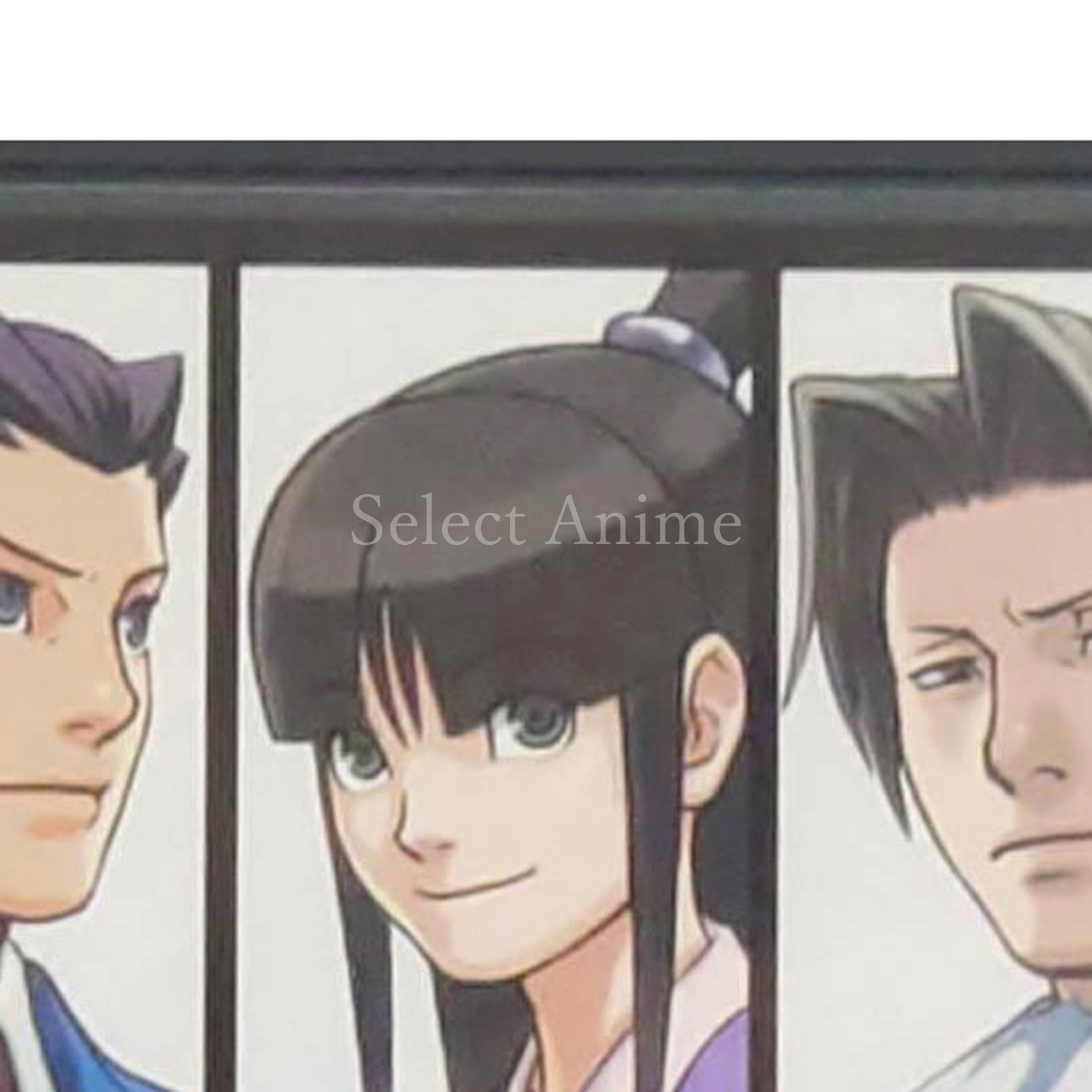 Phoenix Wright: Ace Attorney Best Price! NINTENDO DS [USED]