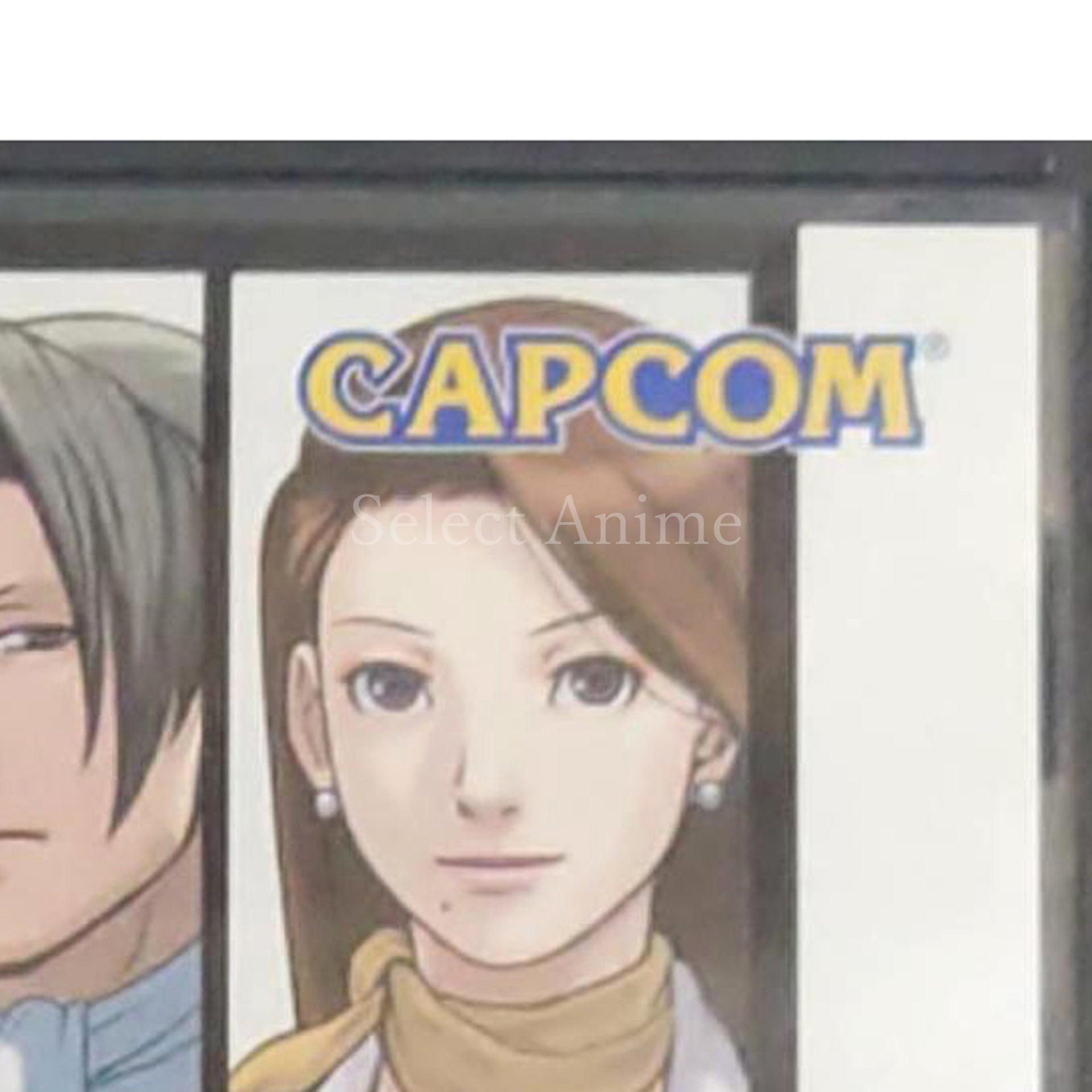 Phoenix Wright: Ace Attorney Best Price! NINTENDO DS [USED]