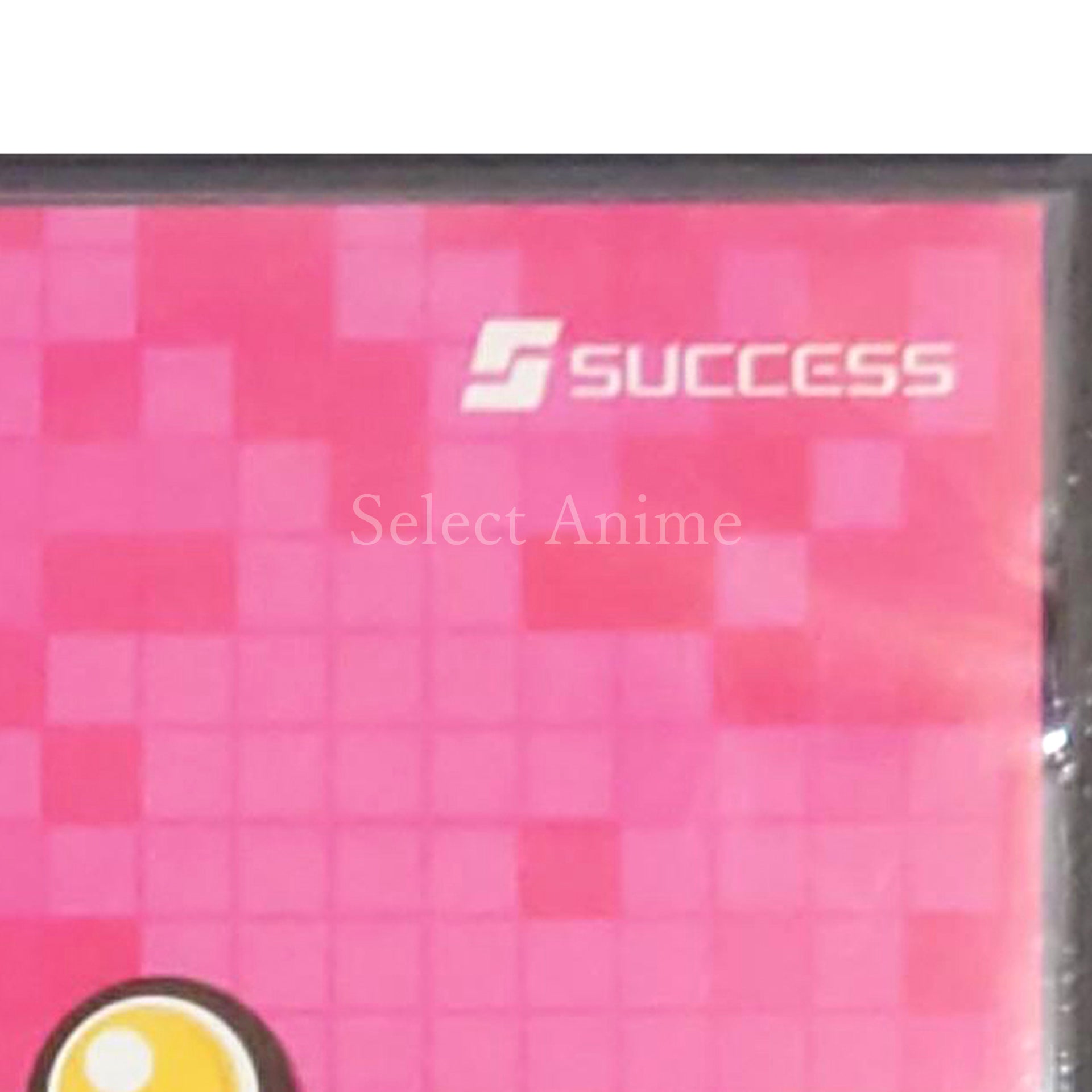 PikuPiku: Toku to E Ninaru 3tsu no Puzzle NINTENDO DS [USED]